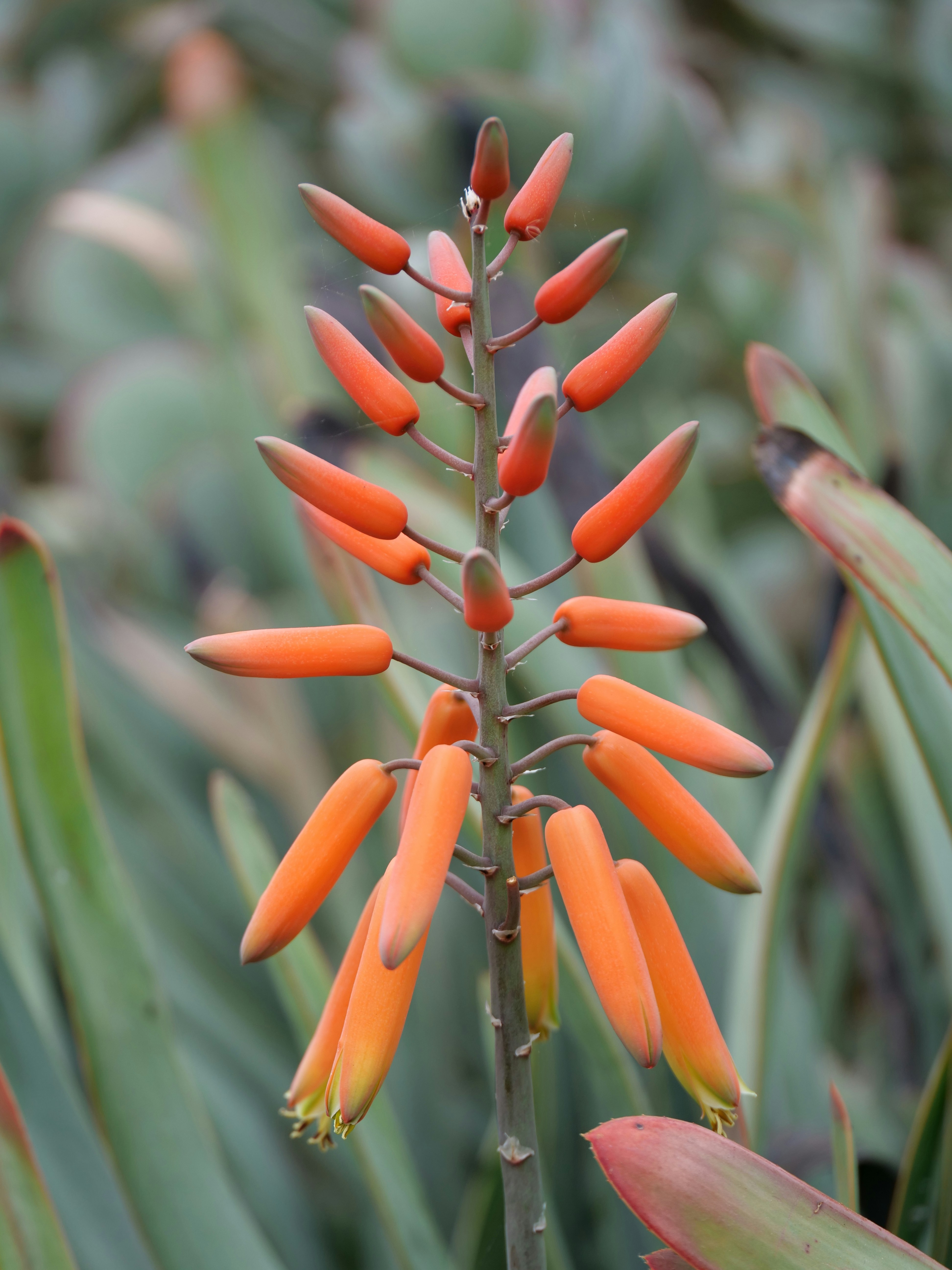 Photo by balmy_sunset