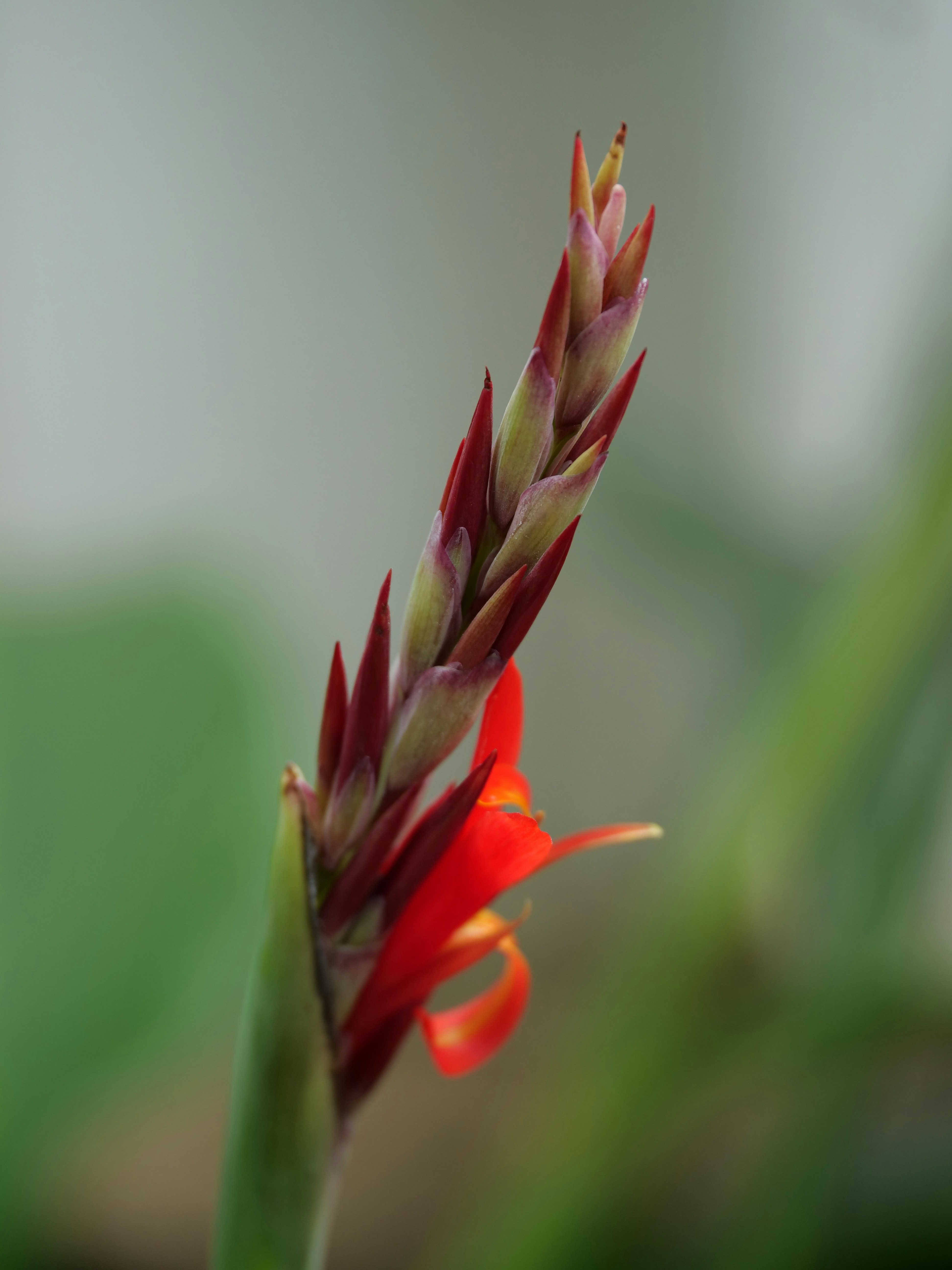 Photo by balmy_sunset