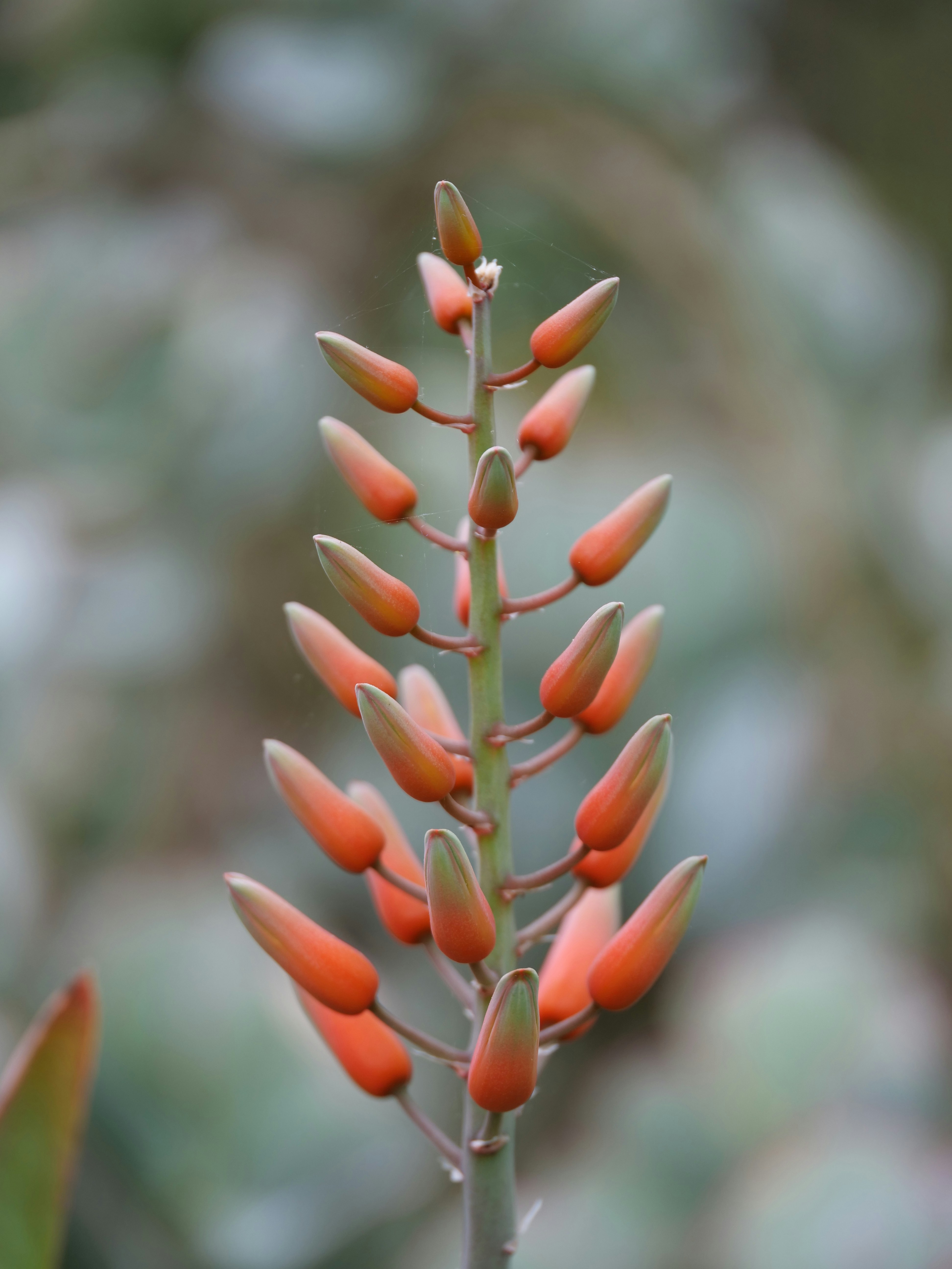 Photo by balmy_sunset