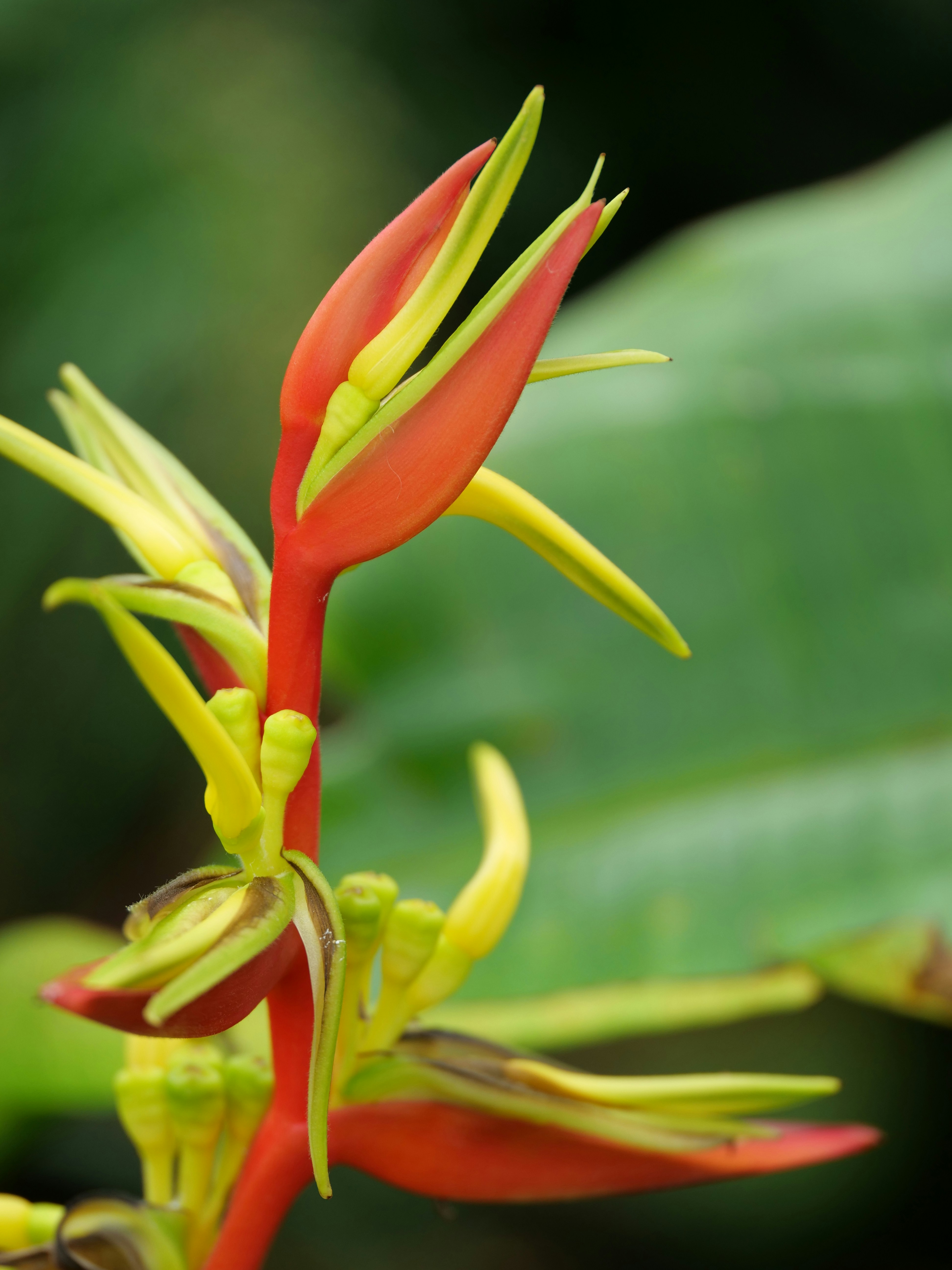 Photo by balmy_sunset