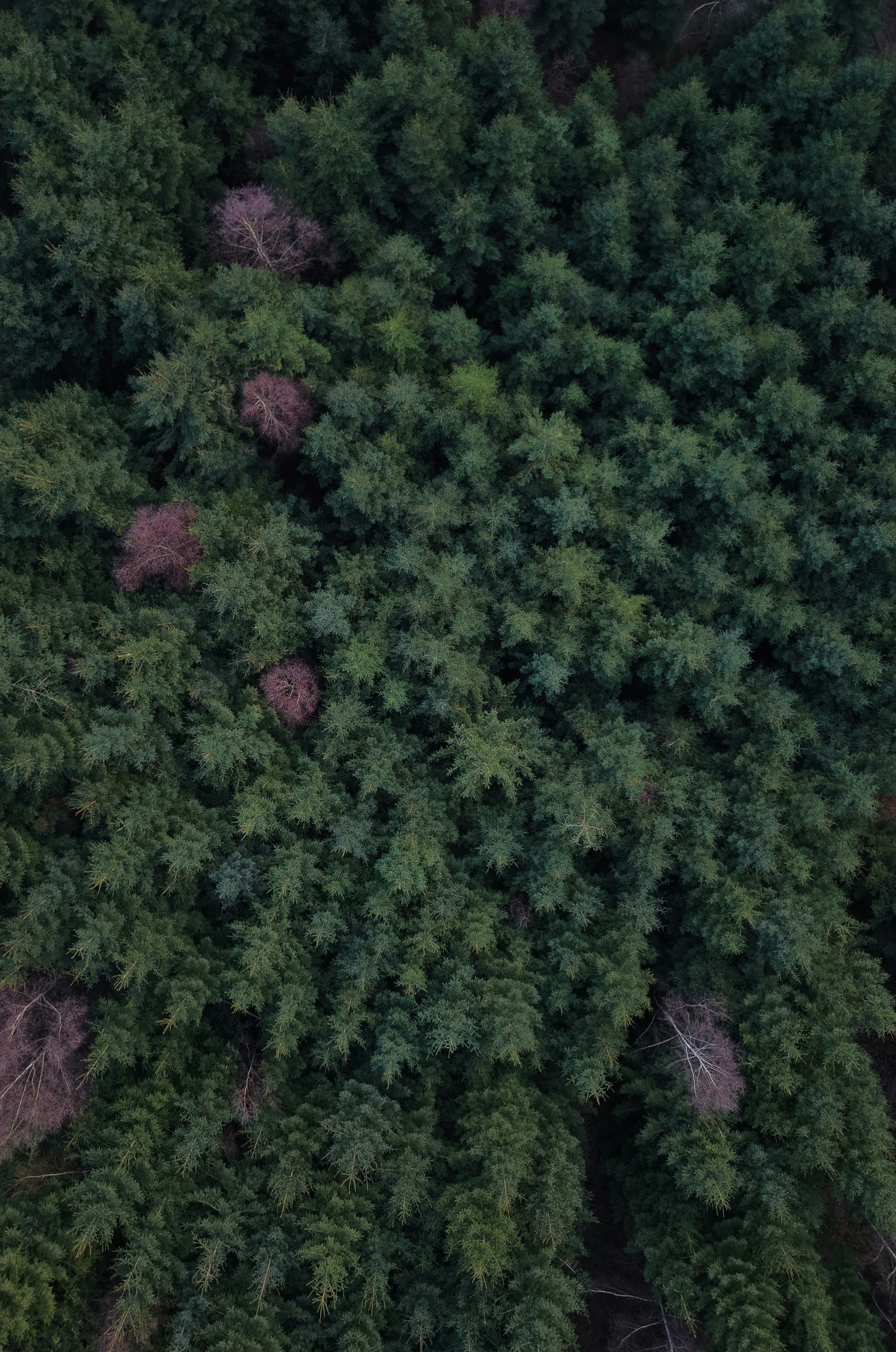 Photo by fynnwithake