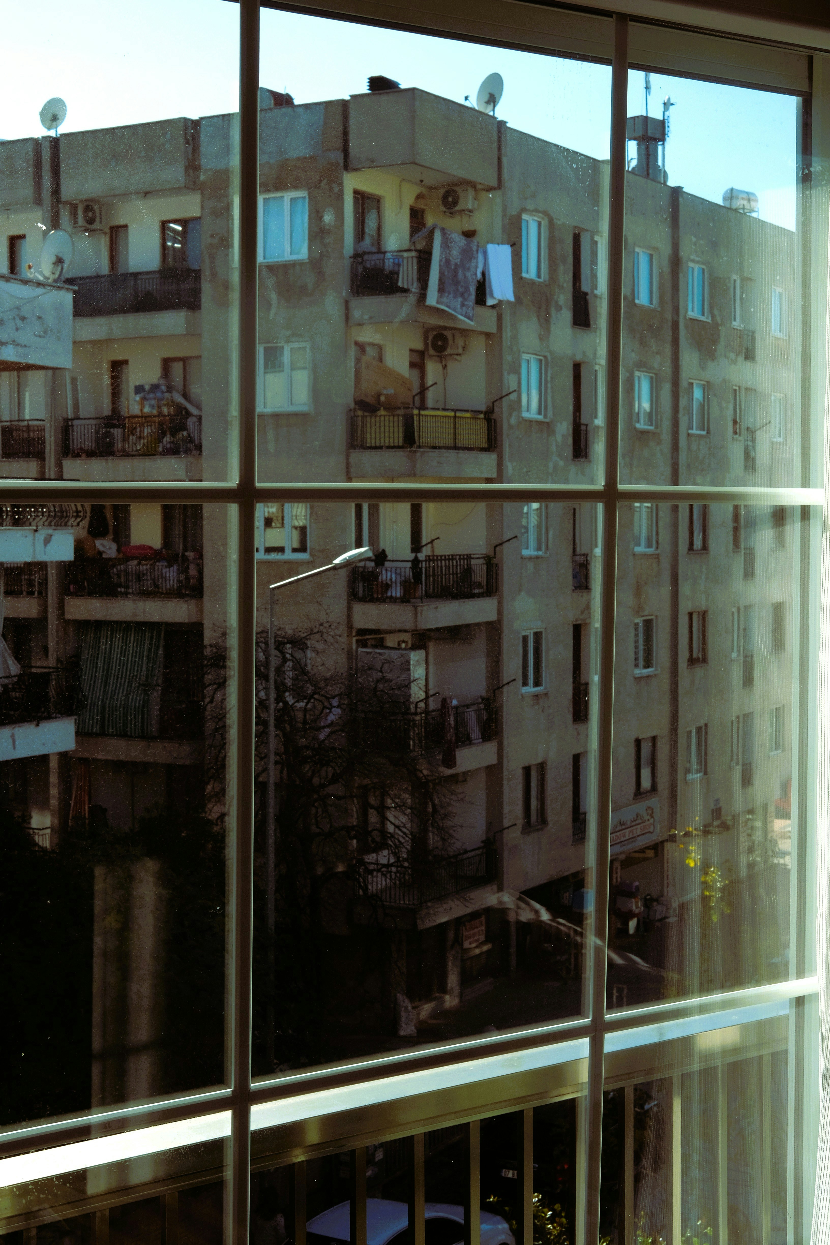 Photo by tausendbuehler100