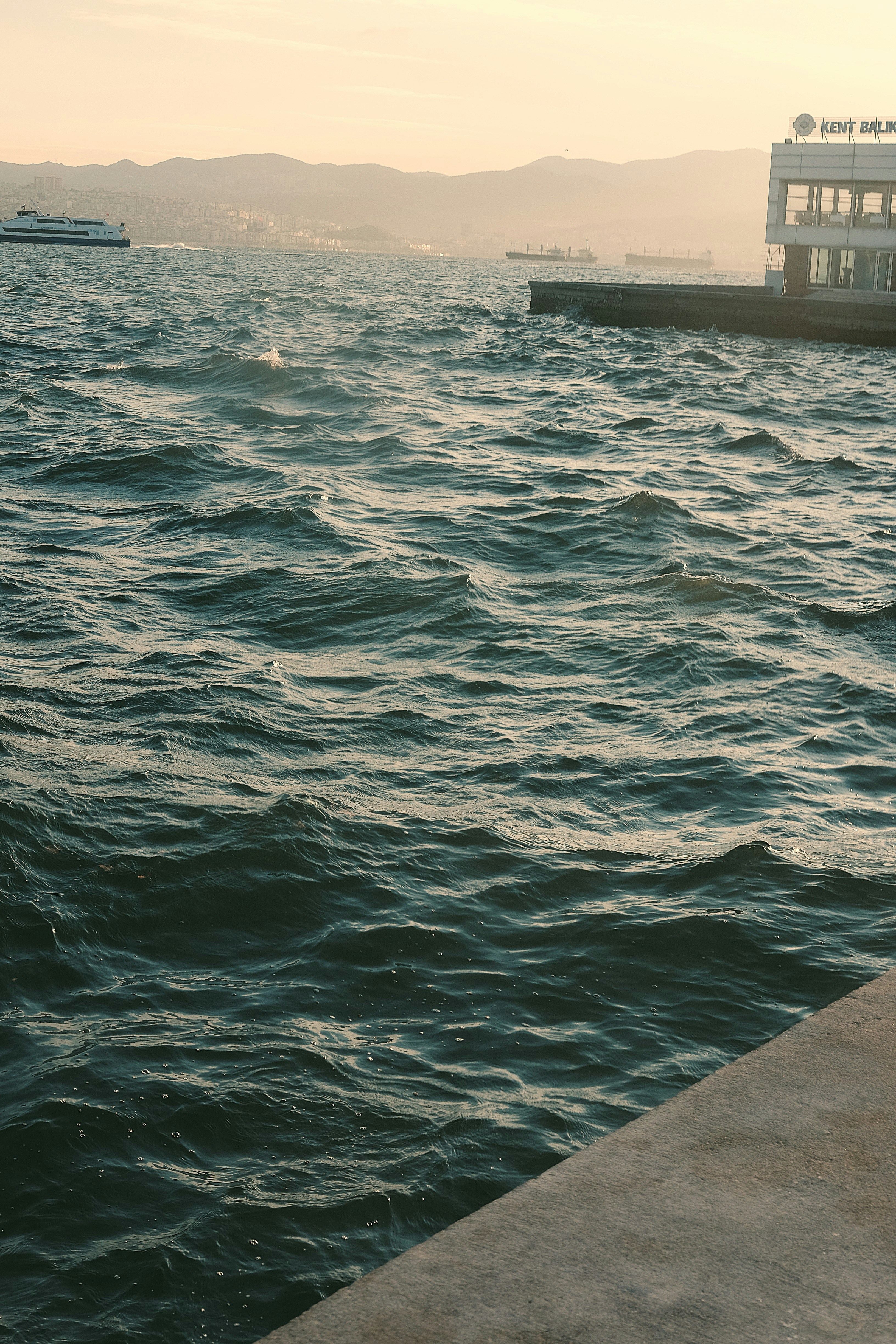 Photo by tausendbuehler100