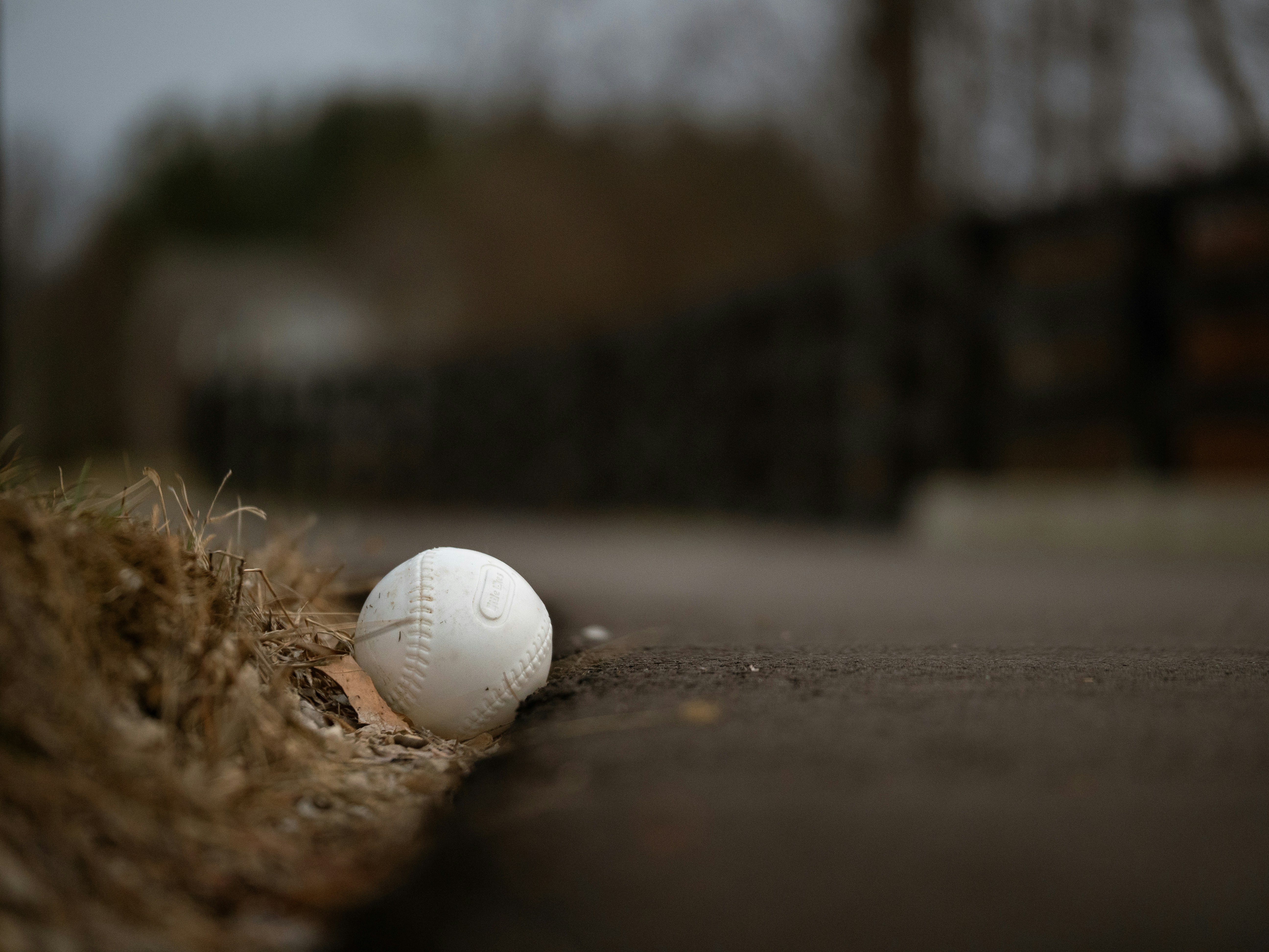 Une balle de baseball blanche repose sur des feuilles sèches près d’un chemin.
