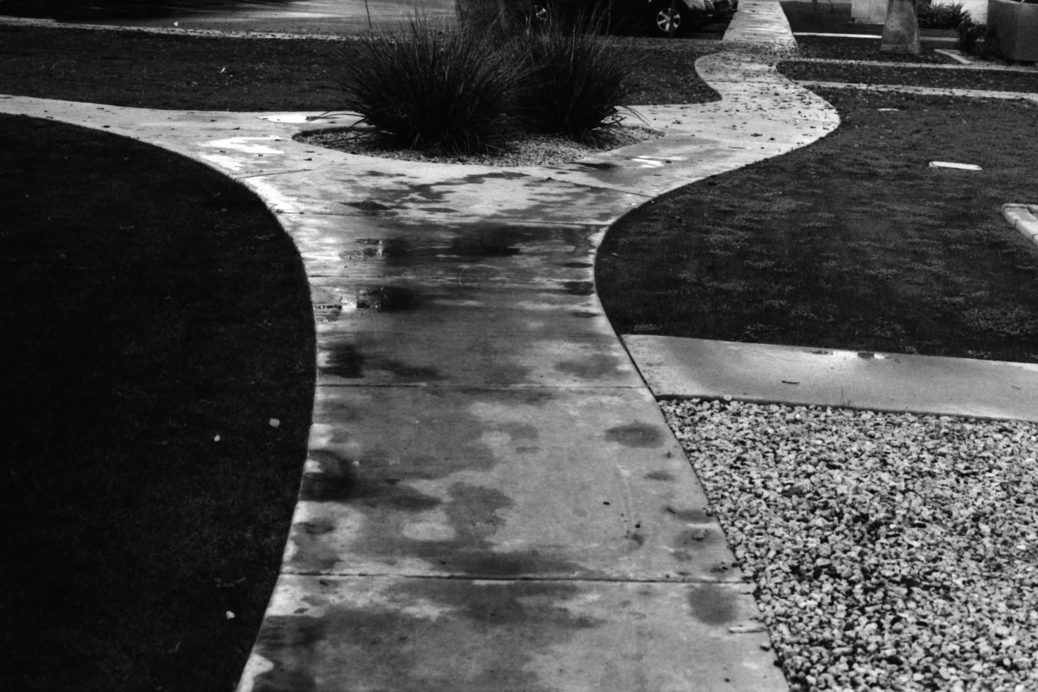 Nasser Betonweg mit Gras und Kies