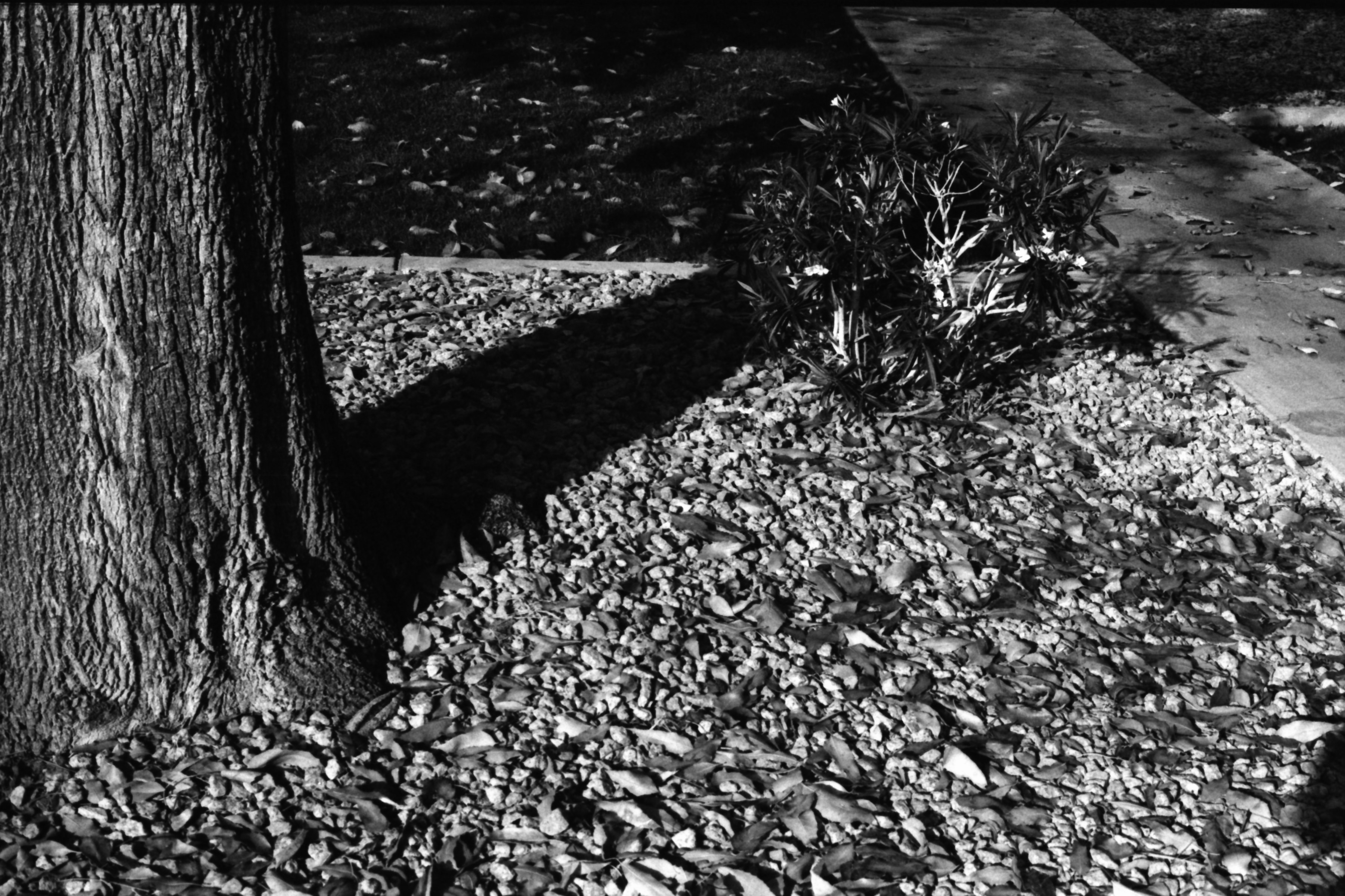 Photo by bradleysingleton