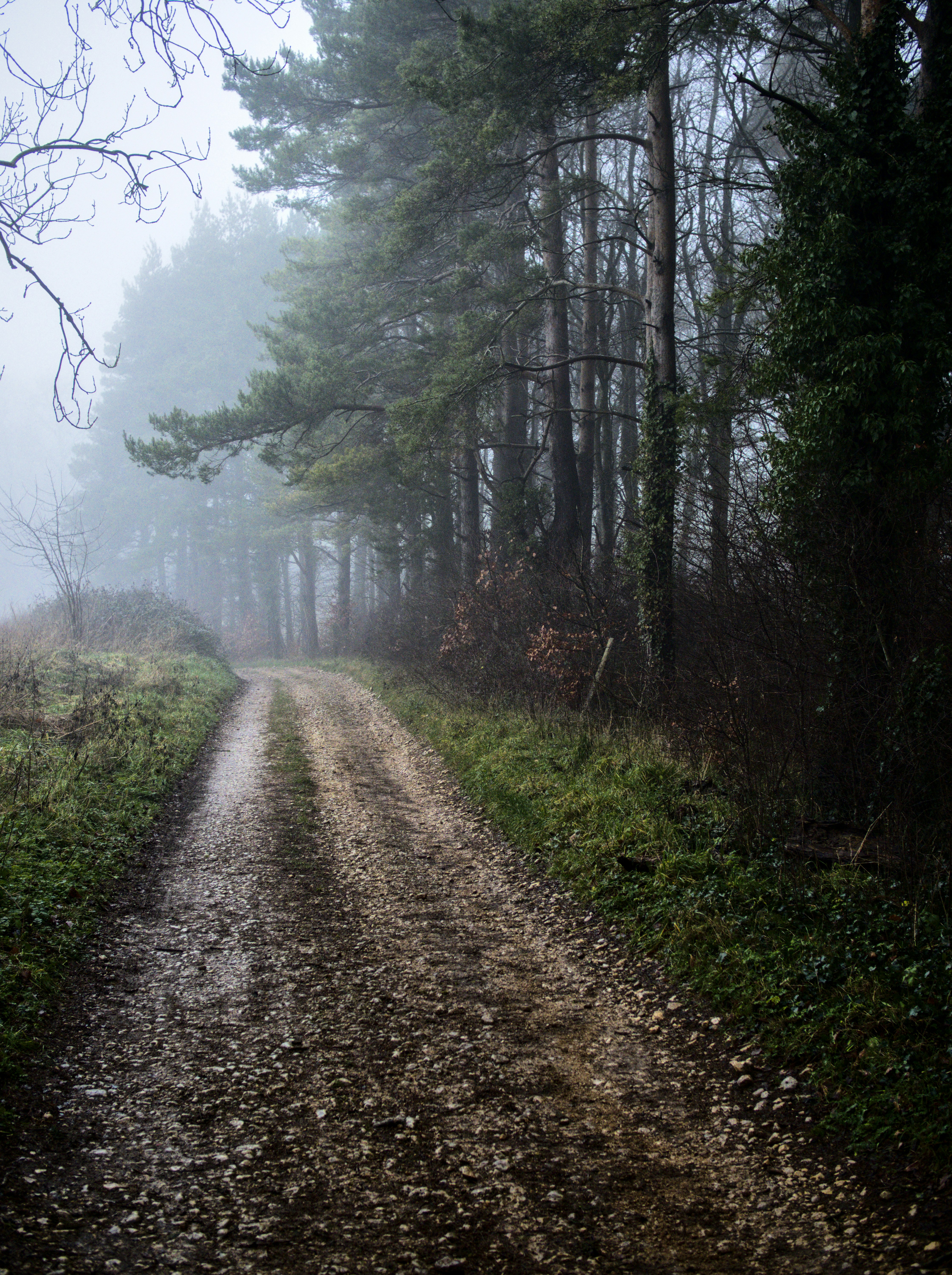 Photo by alexanderpharwood