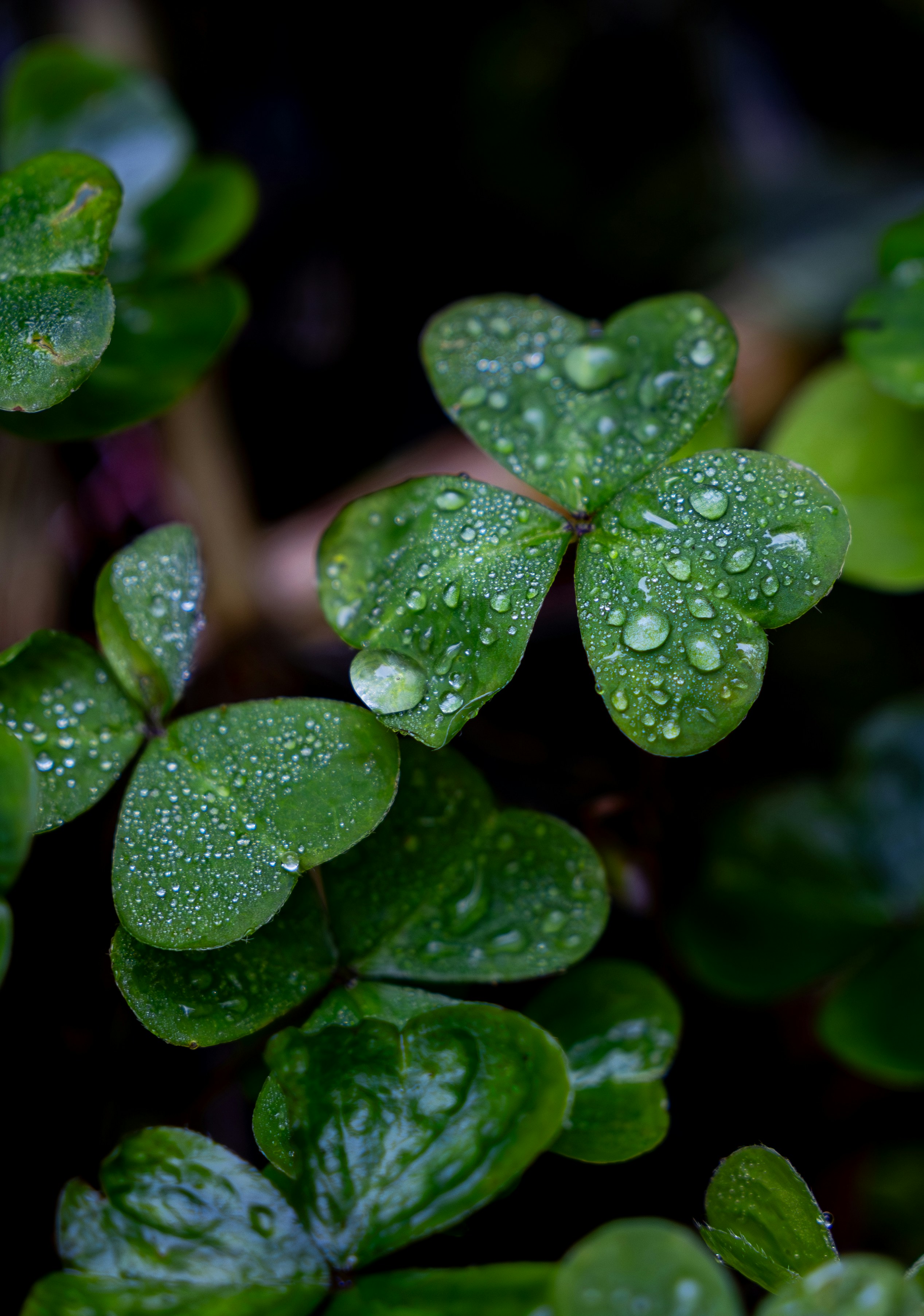 Photo by casunshine0508