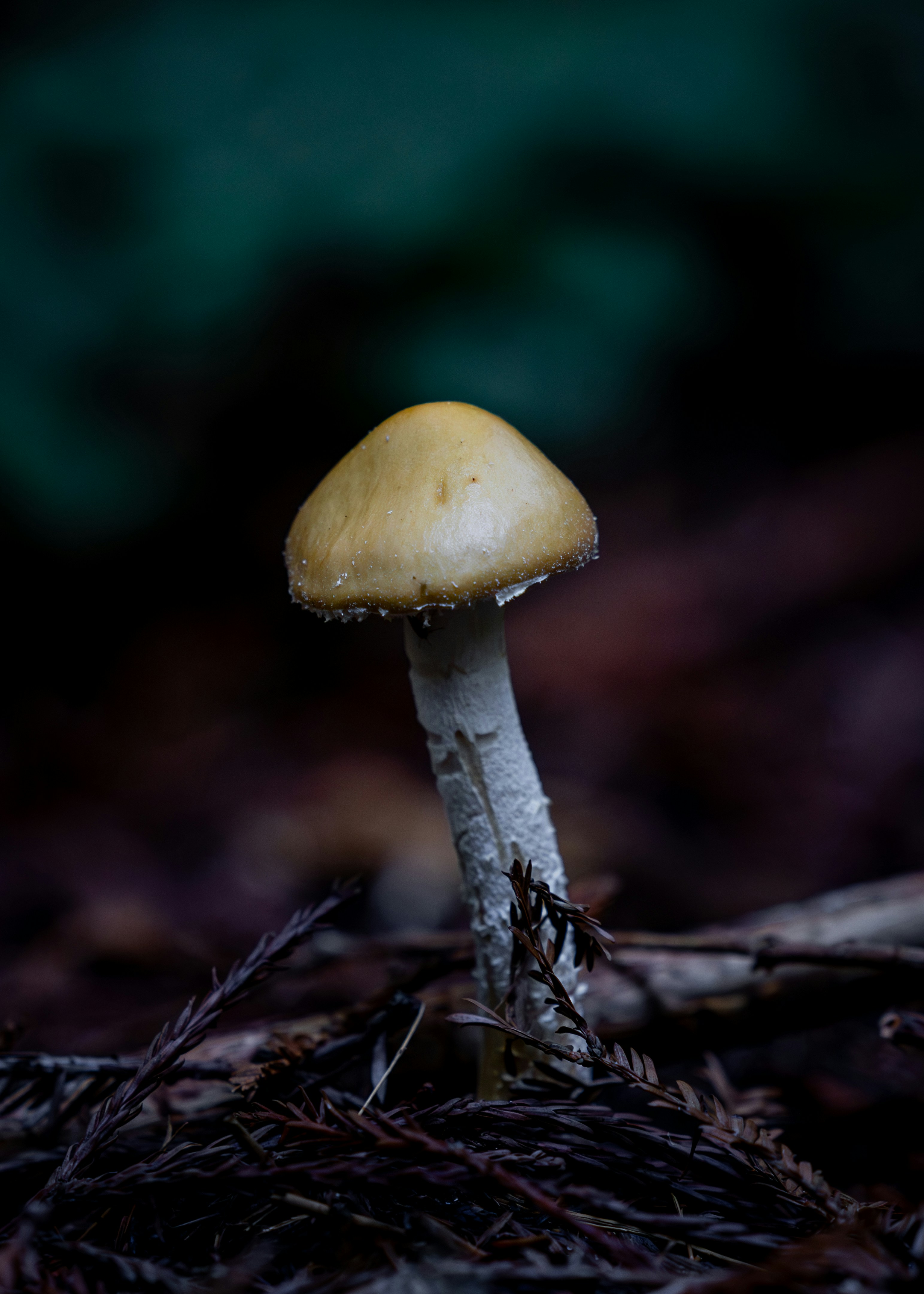 Photo by casunshine0508