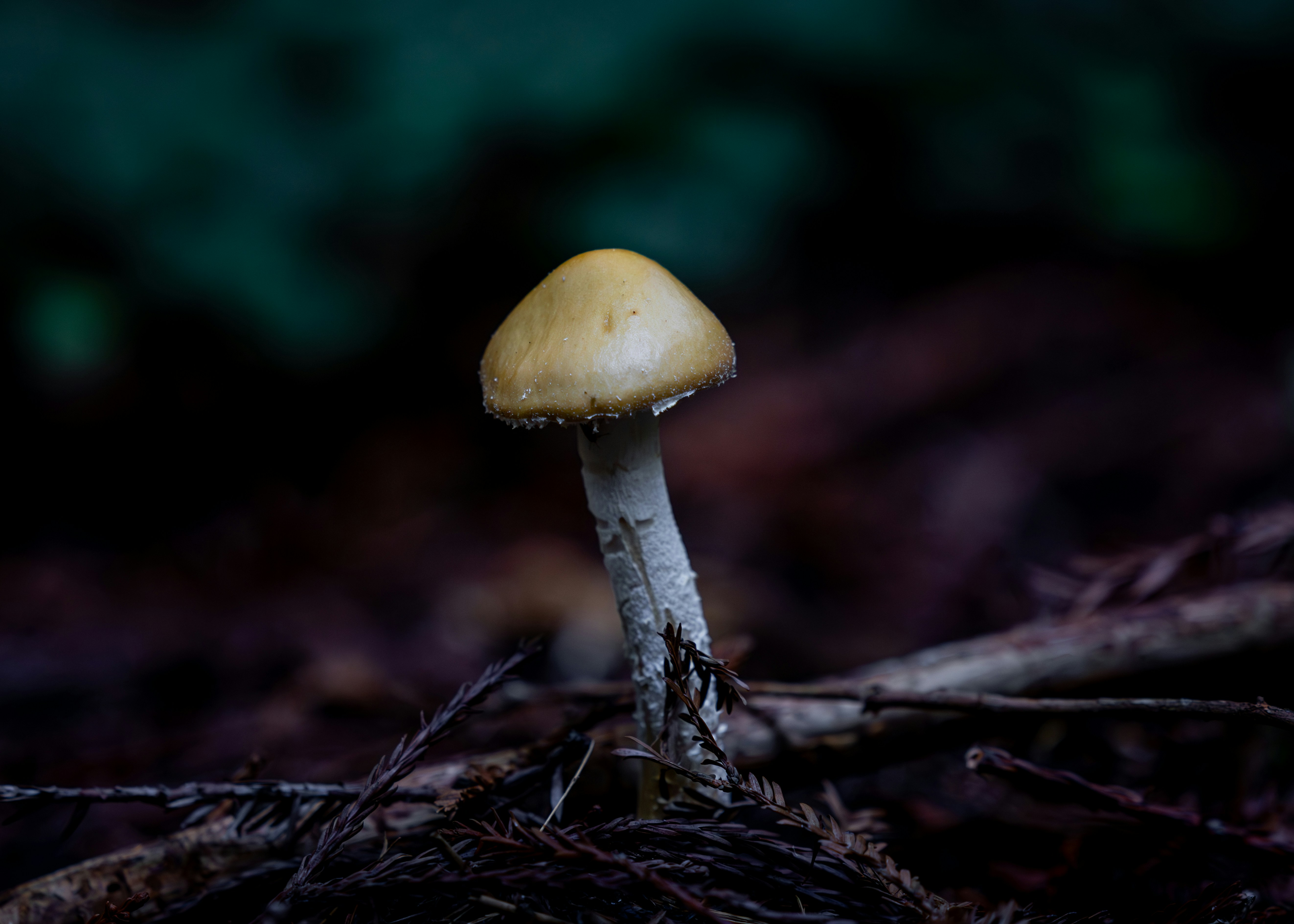 Photo by casunshine0508