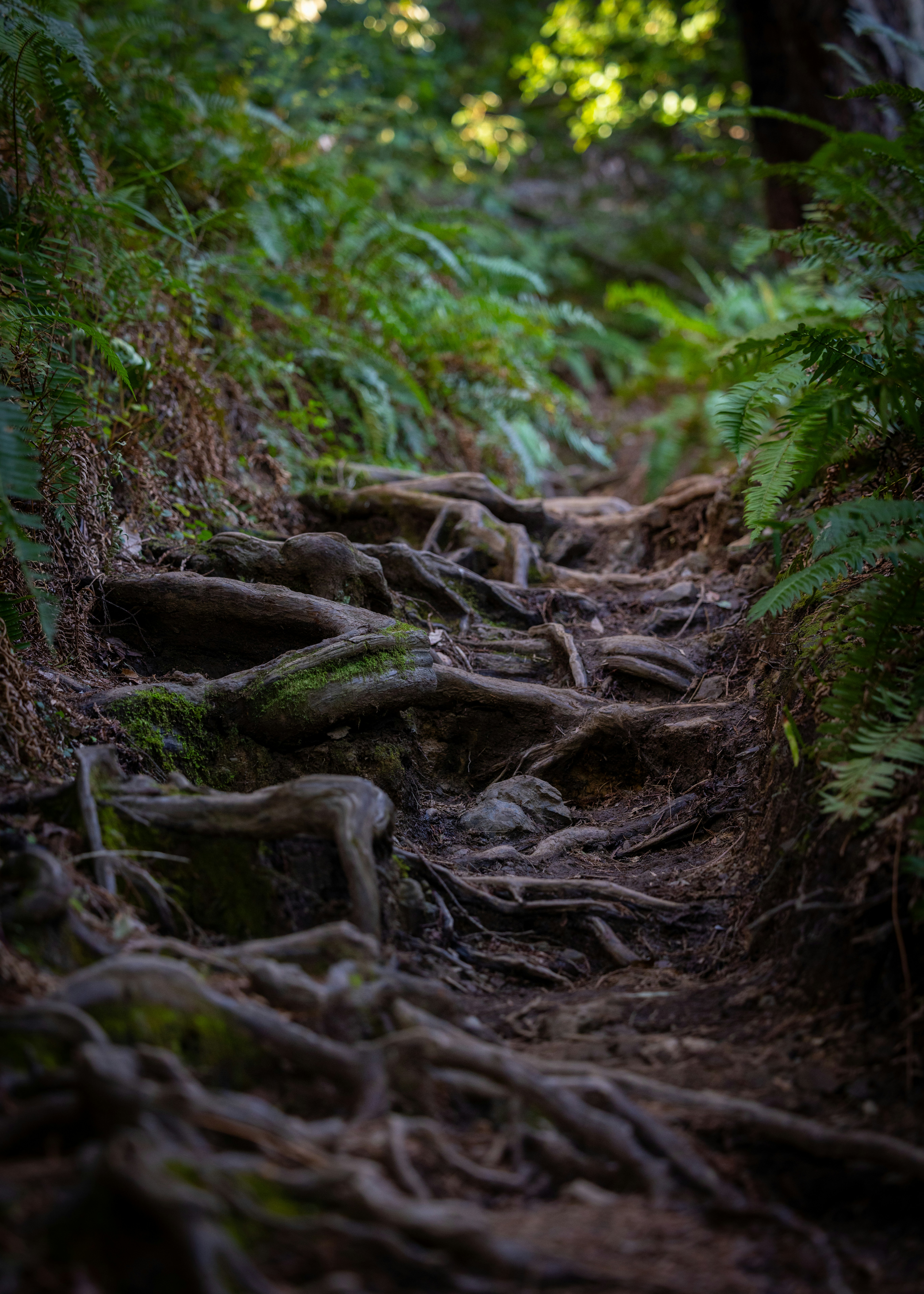 Photo by casunshine0508