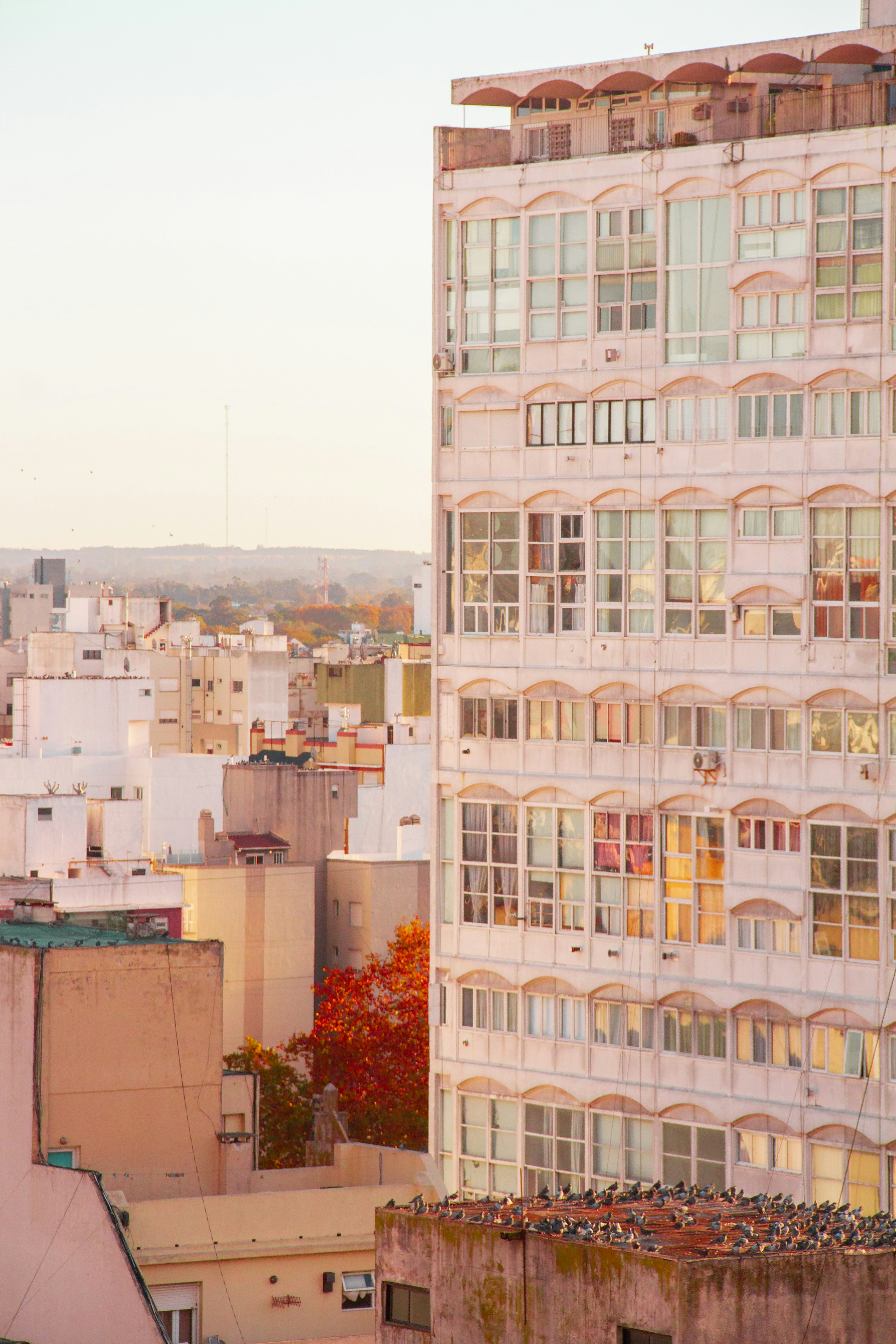 창문이 많은 높은 건물과 도시 스카이라인
