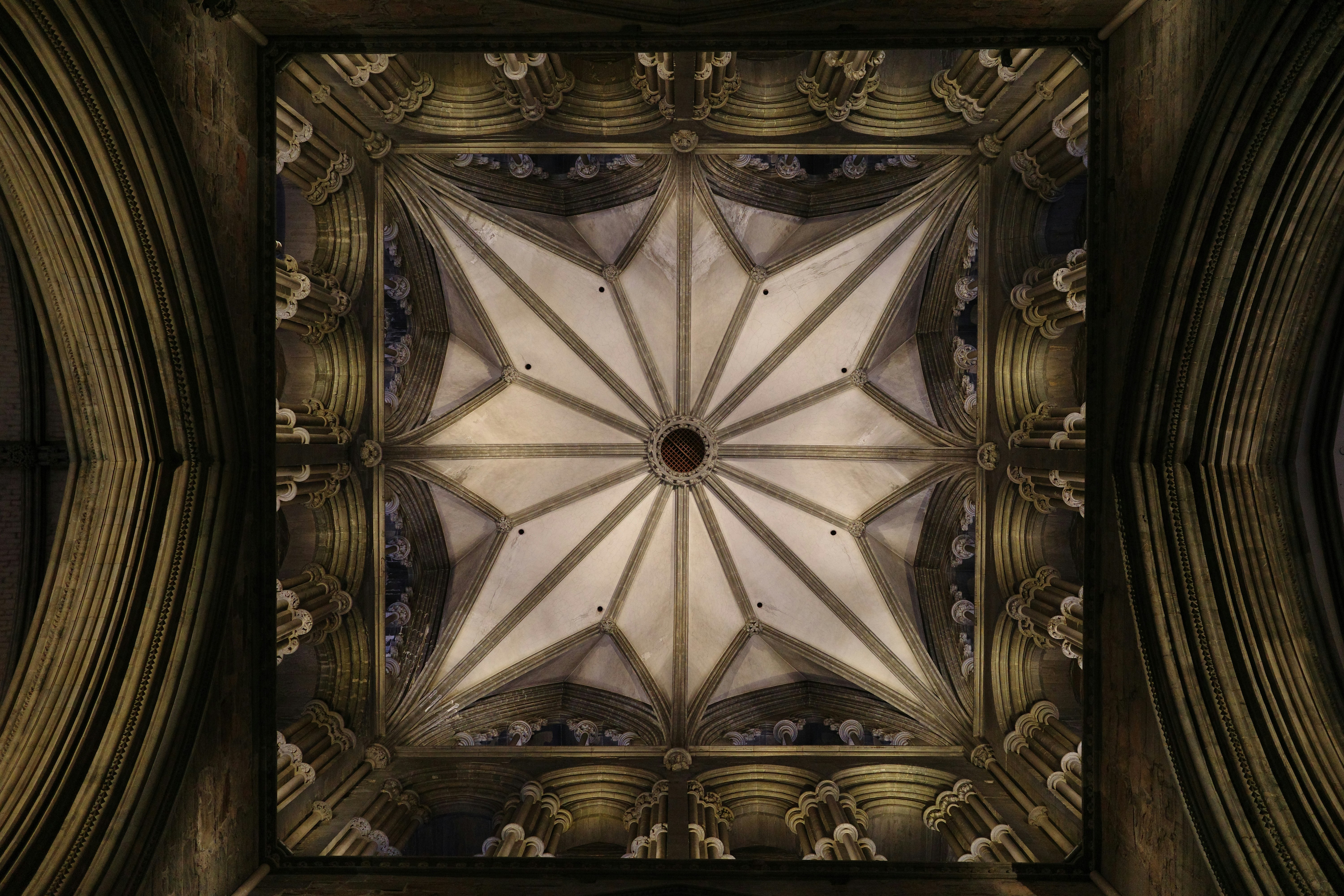 Photo by tomasrobertson