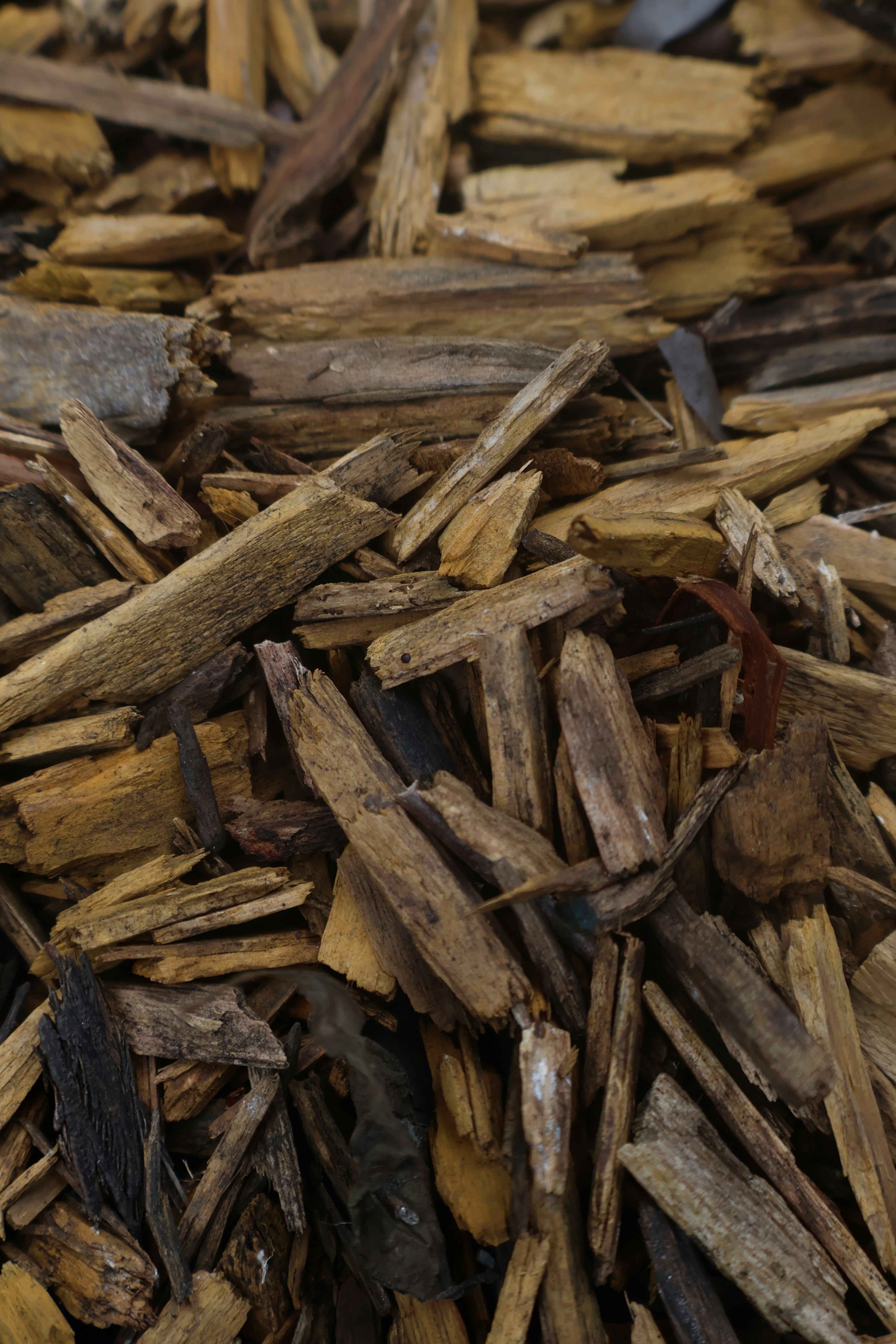 Close-up of dried wood chips and bark fragments.
