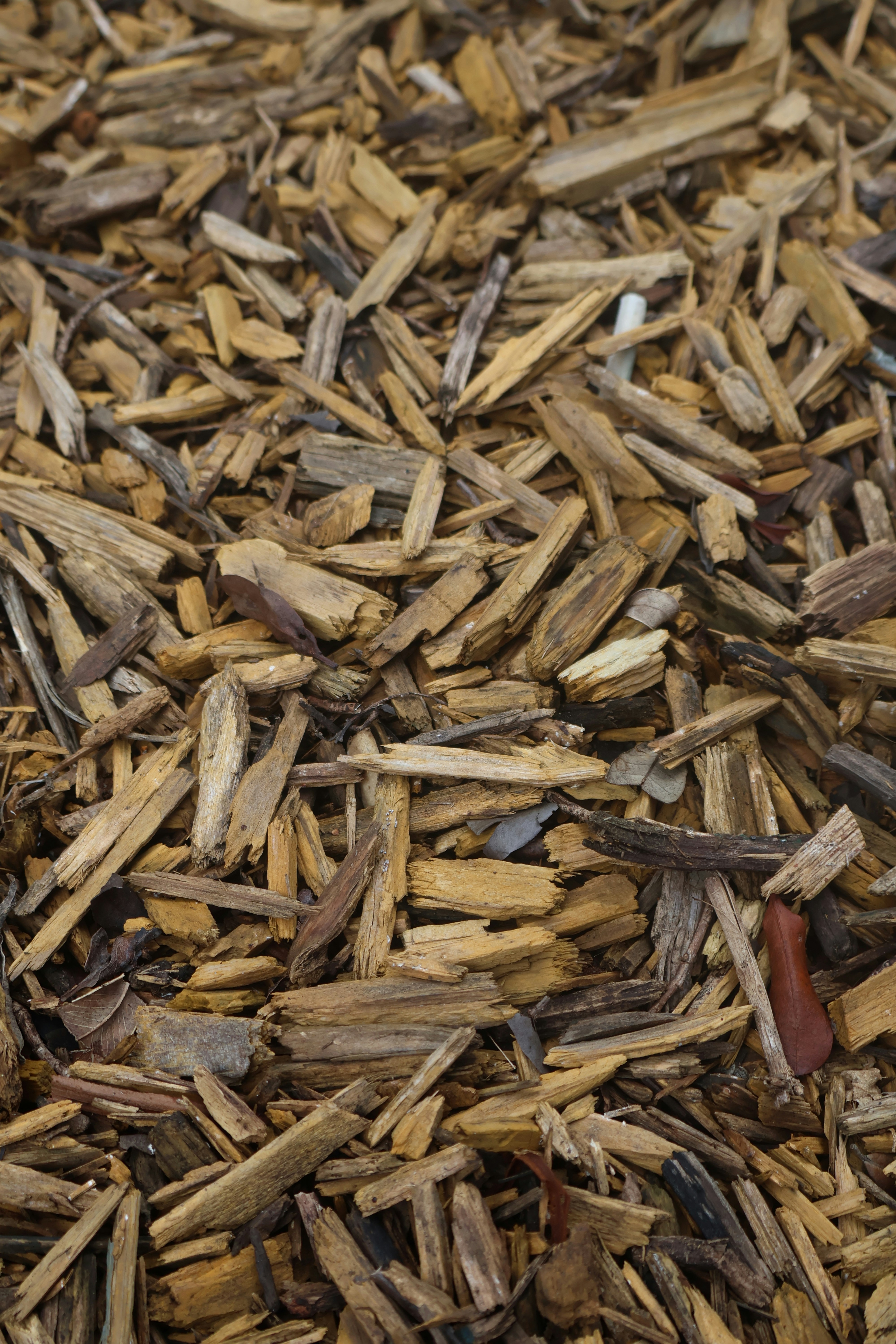 Photo by marcusdavid