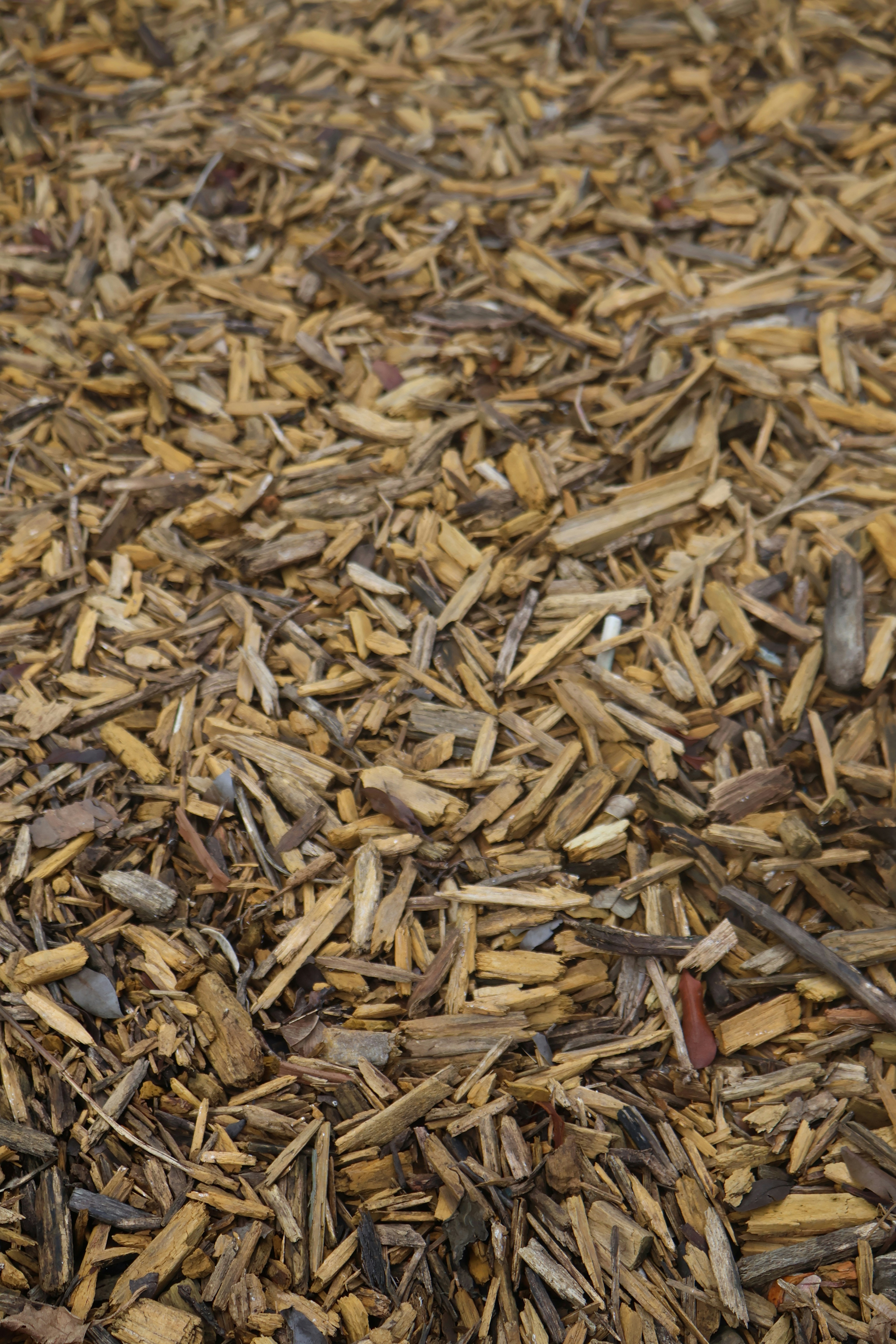 Photo by marcusdavid