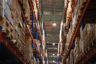 Rows of shelves stacked with boxes in a warehouse.