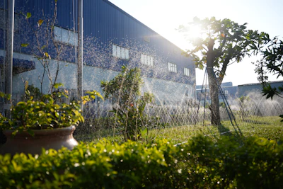 Sunlight shines through sprinklers watering a green lawn.