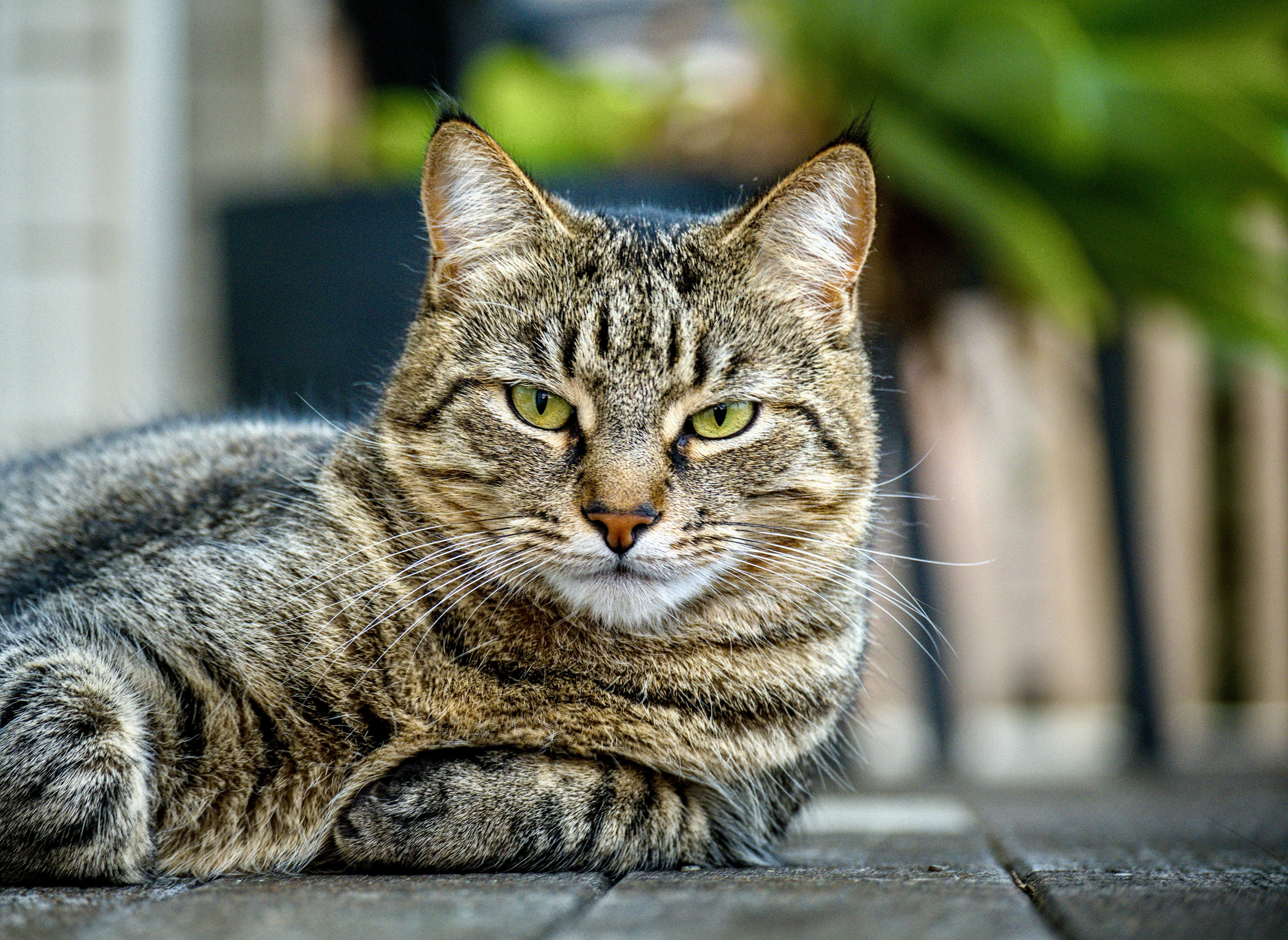 Photo by ndbroadbent