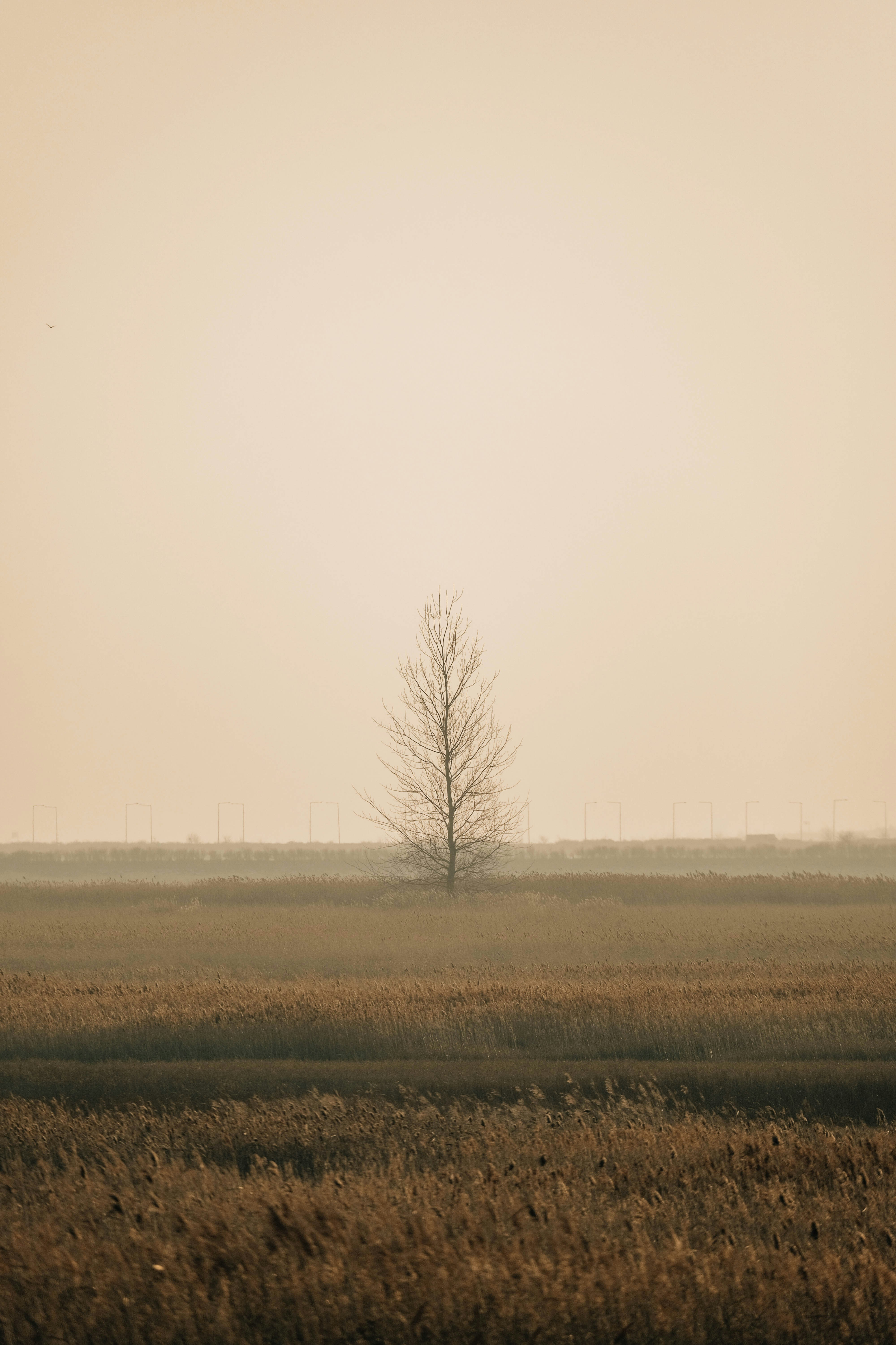 Photo by insungpandora