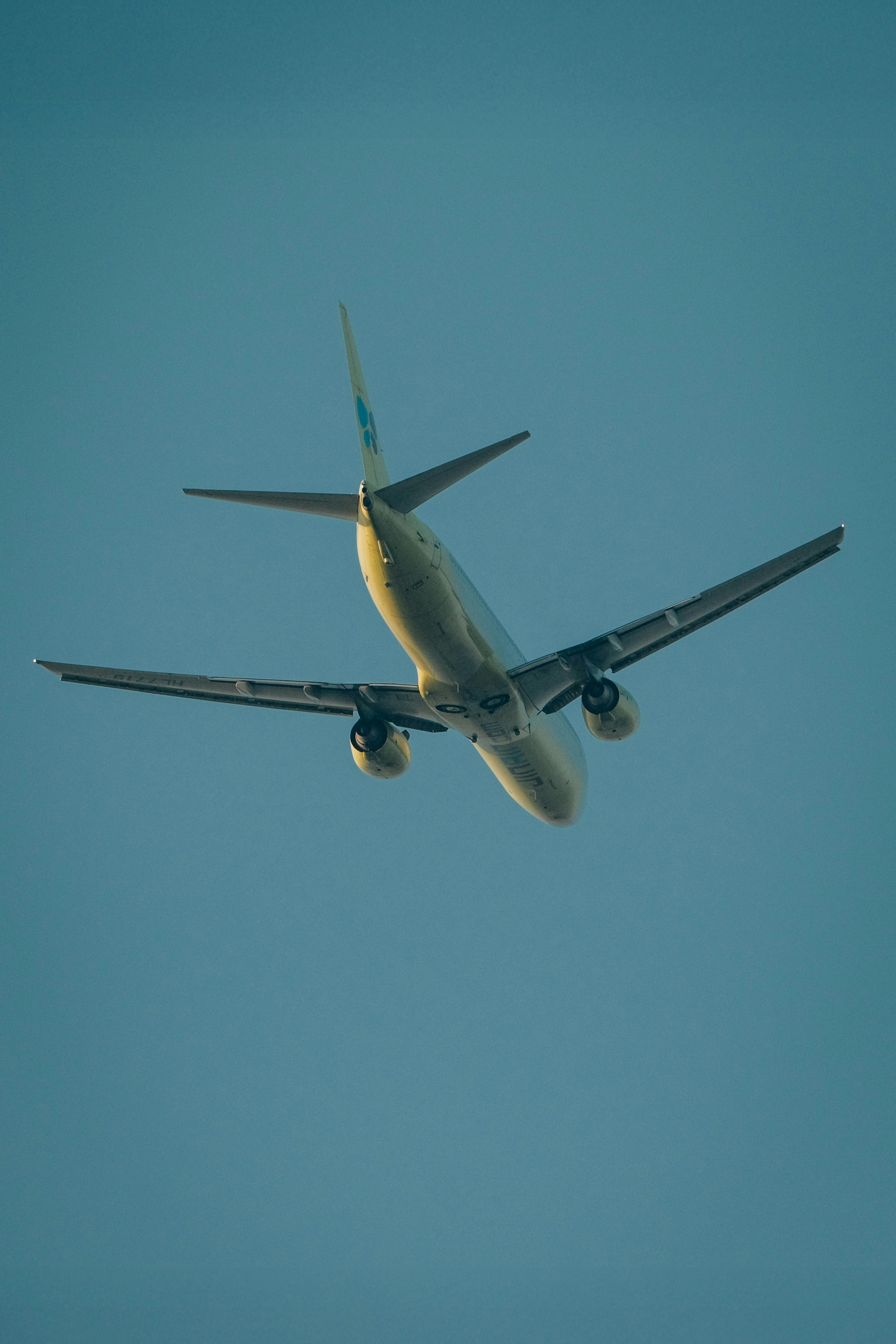 Photo by insungpandora