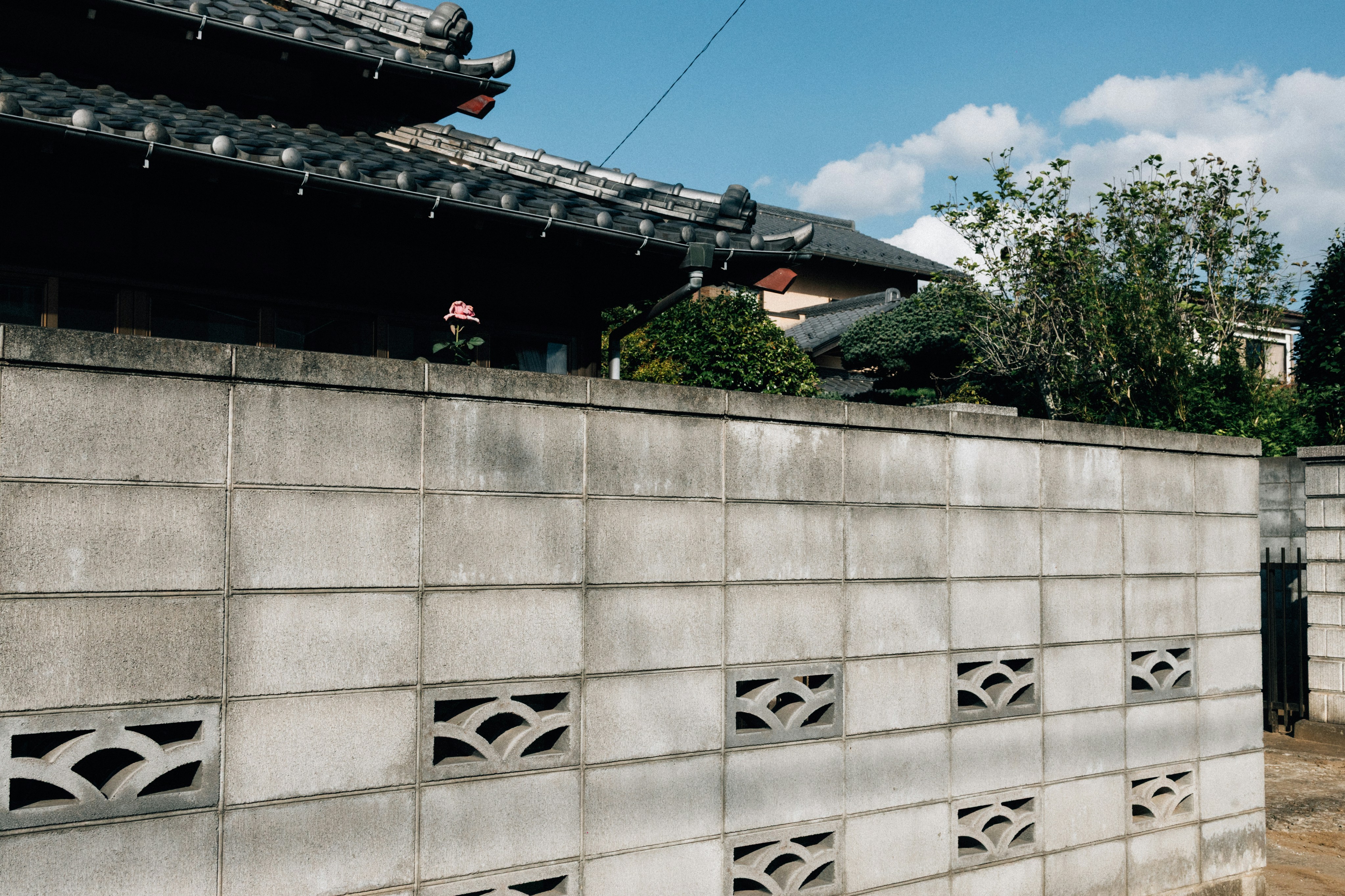 Photo by tsuyoshikozu