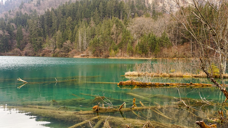 Yuecheng Lake