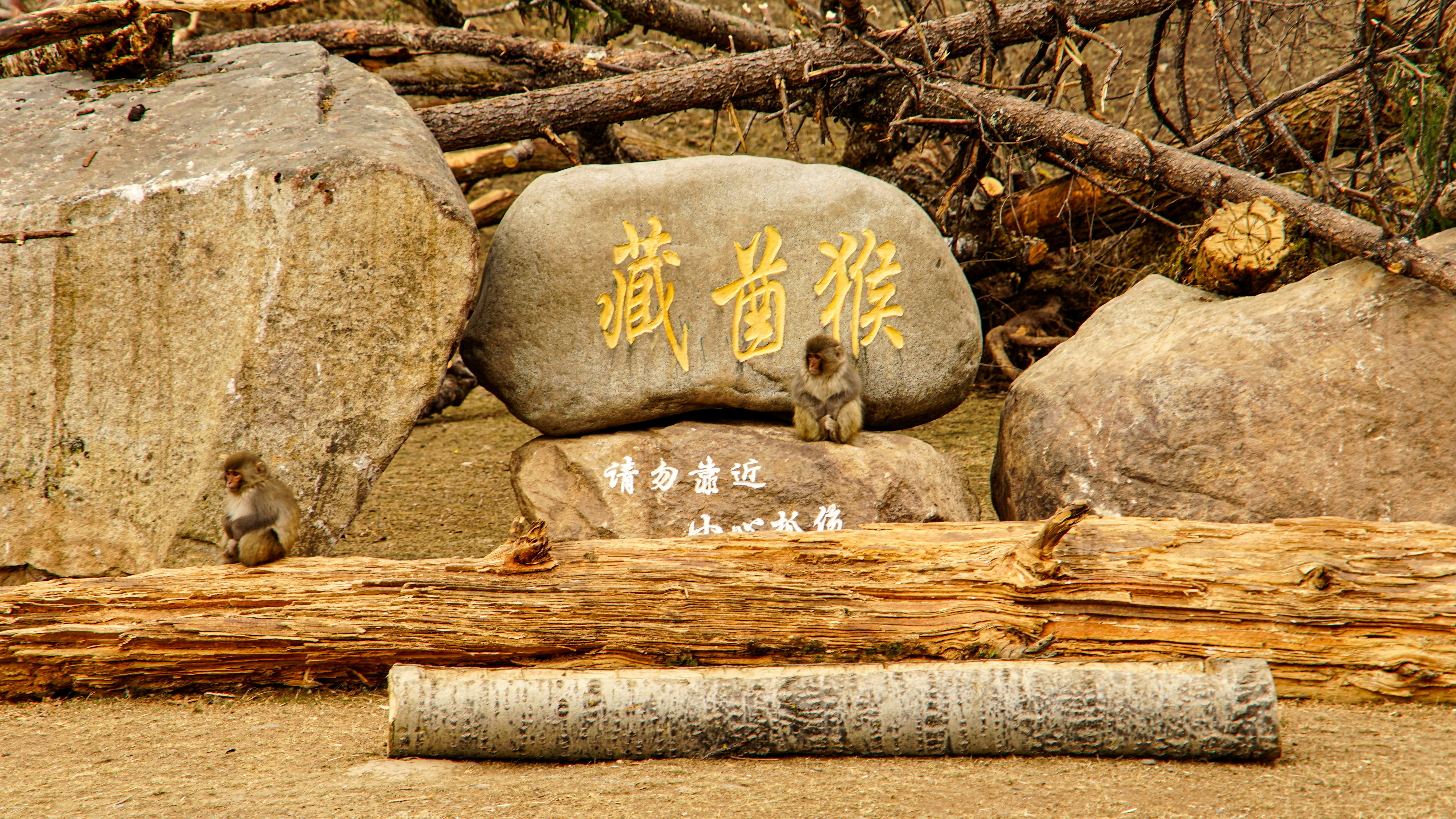Large rocks and logs surround a stone with chinese characters. photo ...