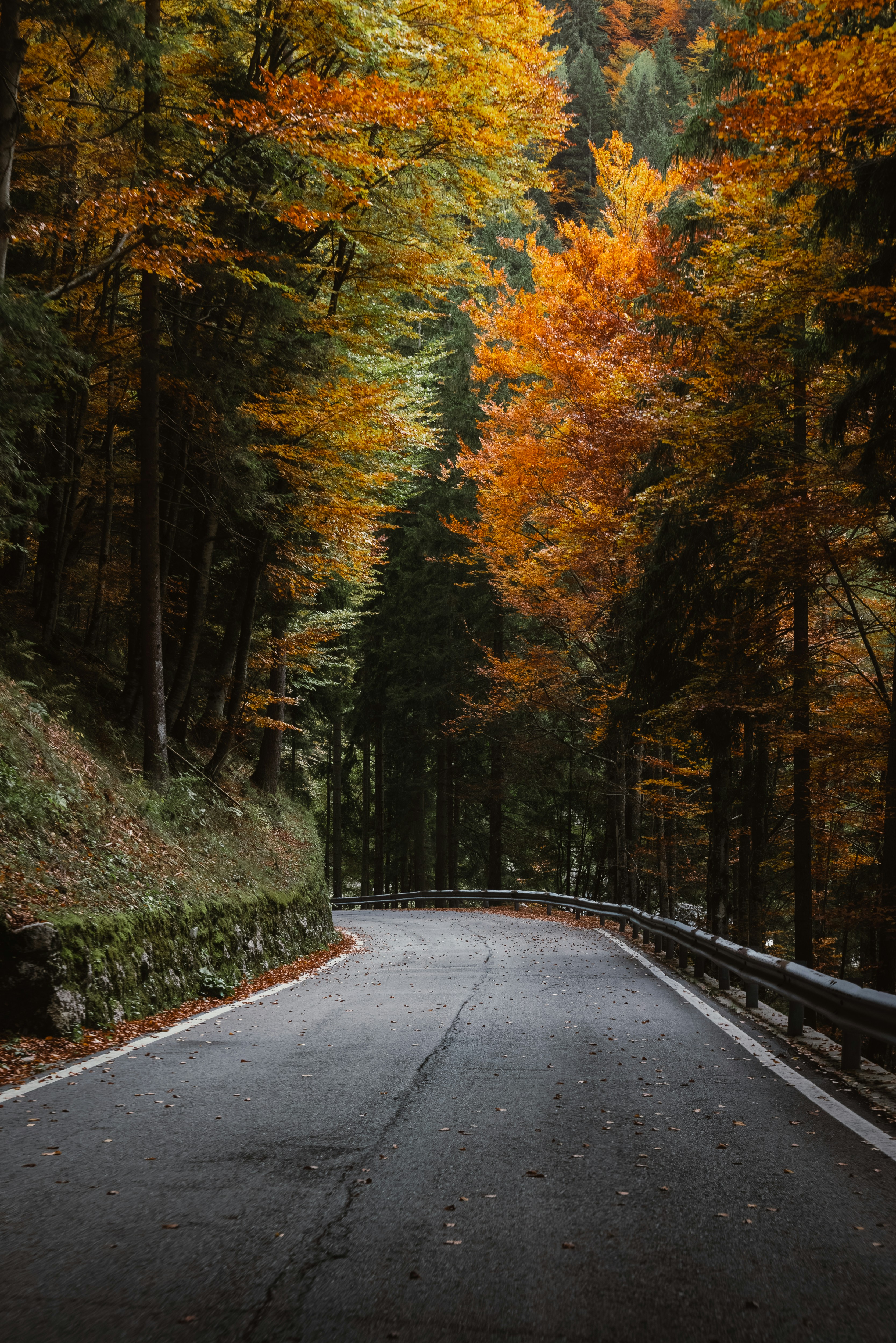 Photo by ahmetyuksek