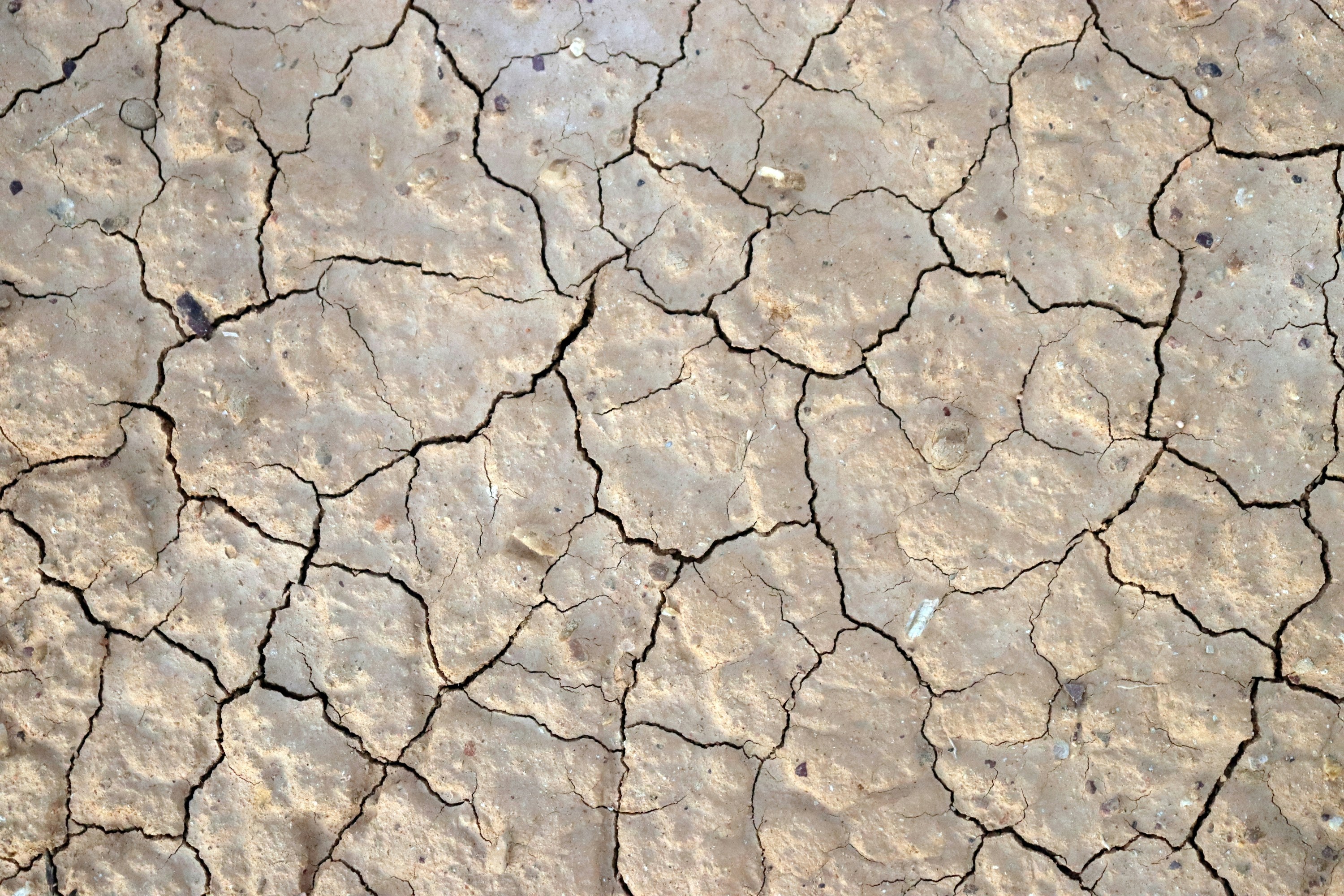 Photo by craigmanners_com