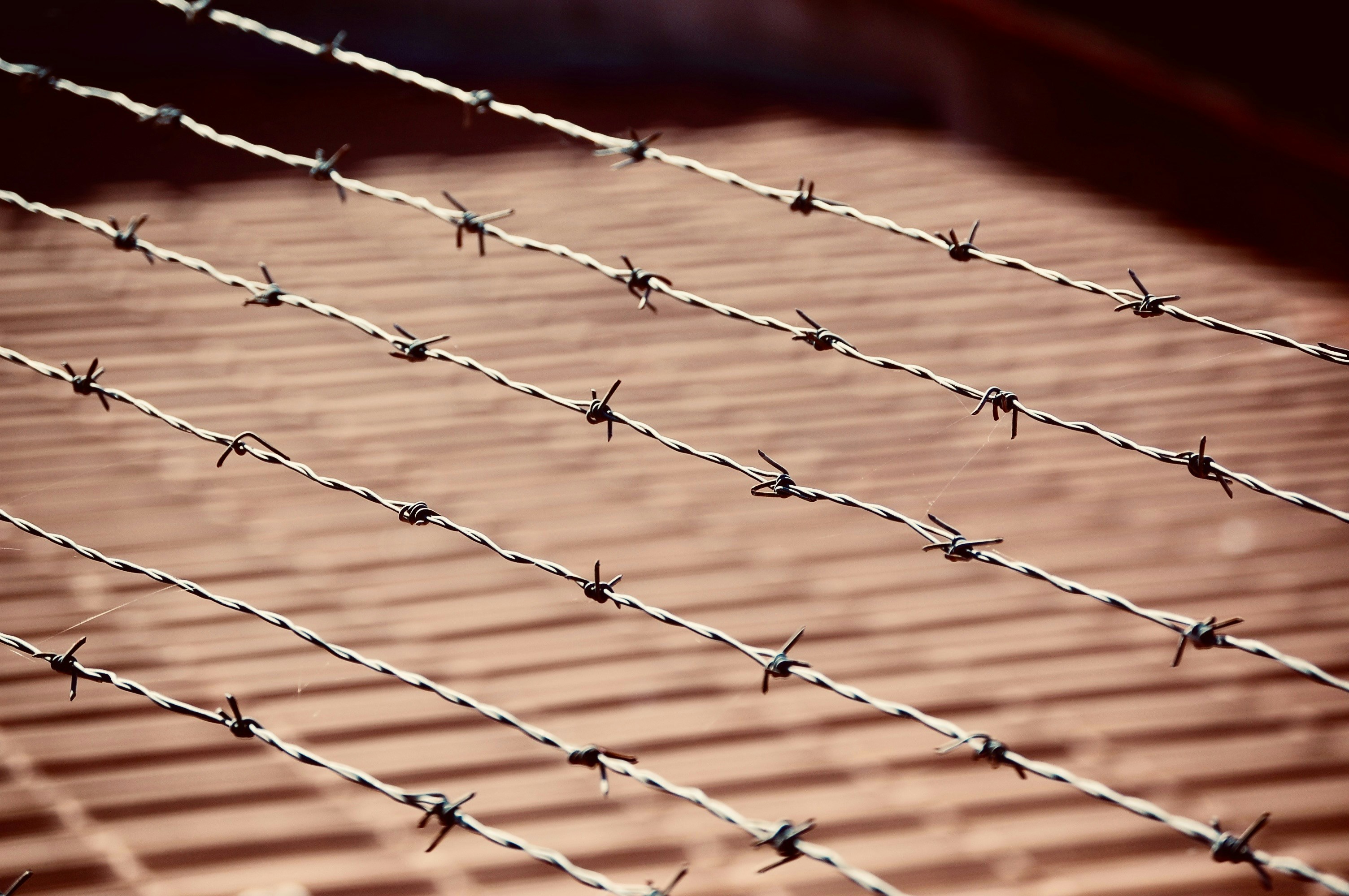 Photo by dannyboy4125