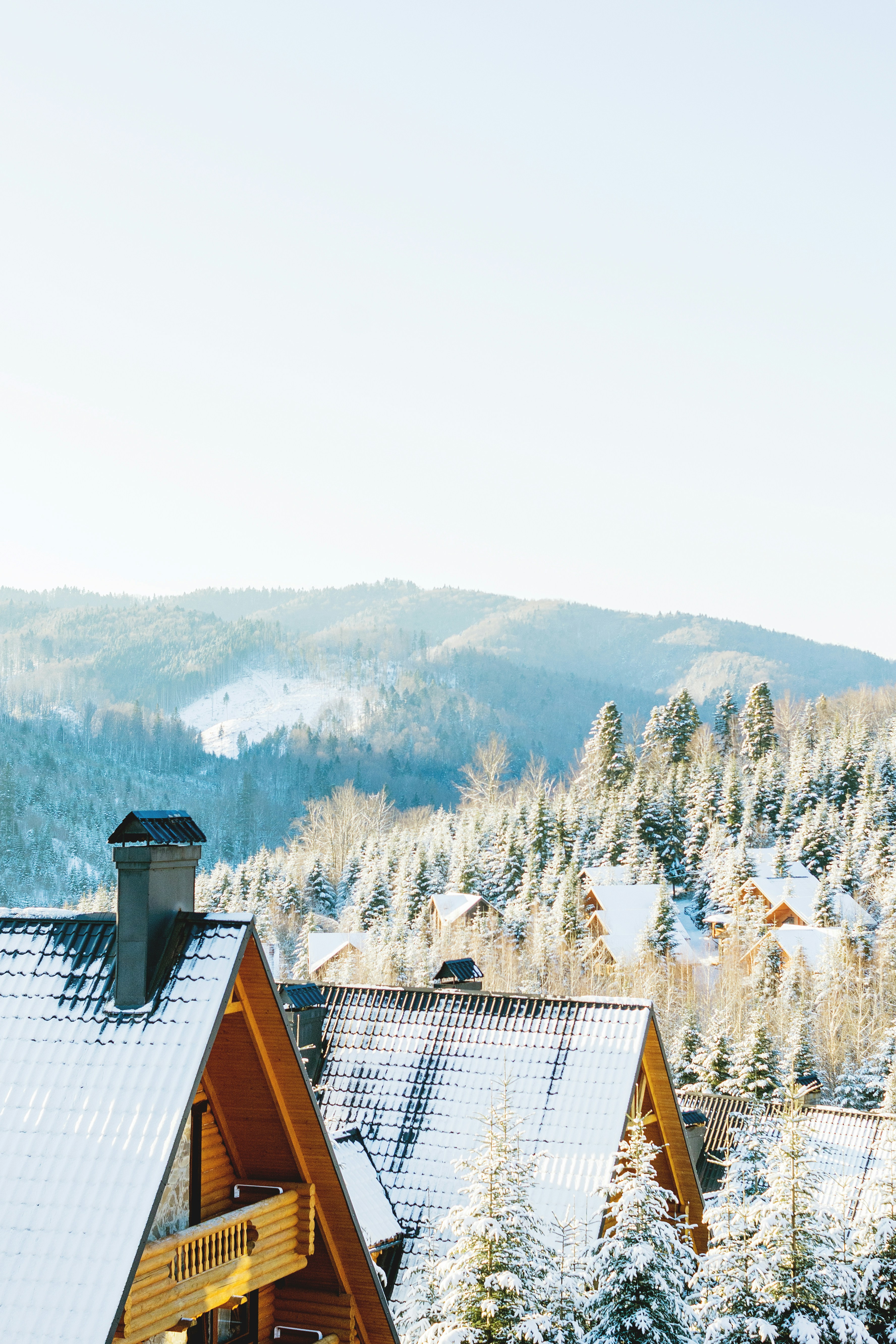 Snow-covered houses nestled in a winter forest.
