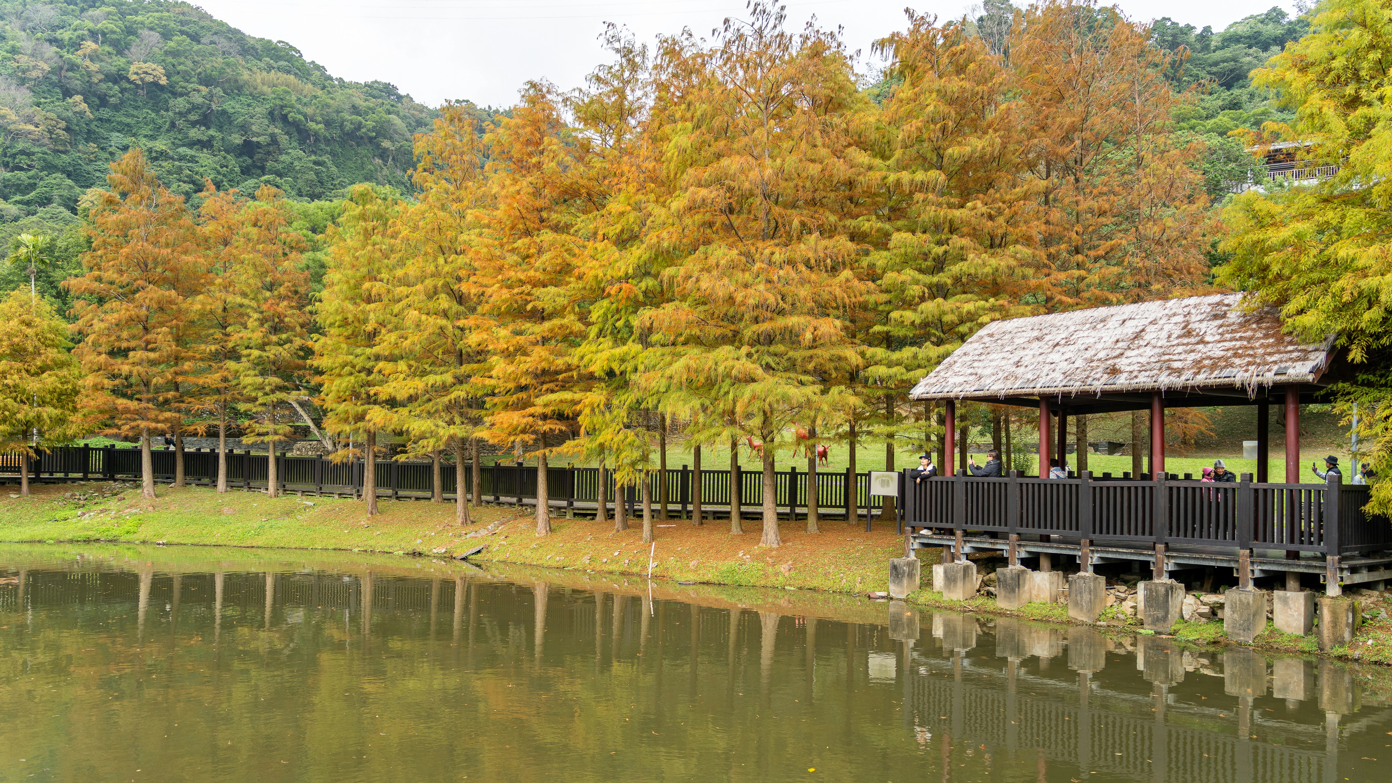 Photo by winstonchen