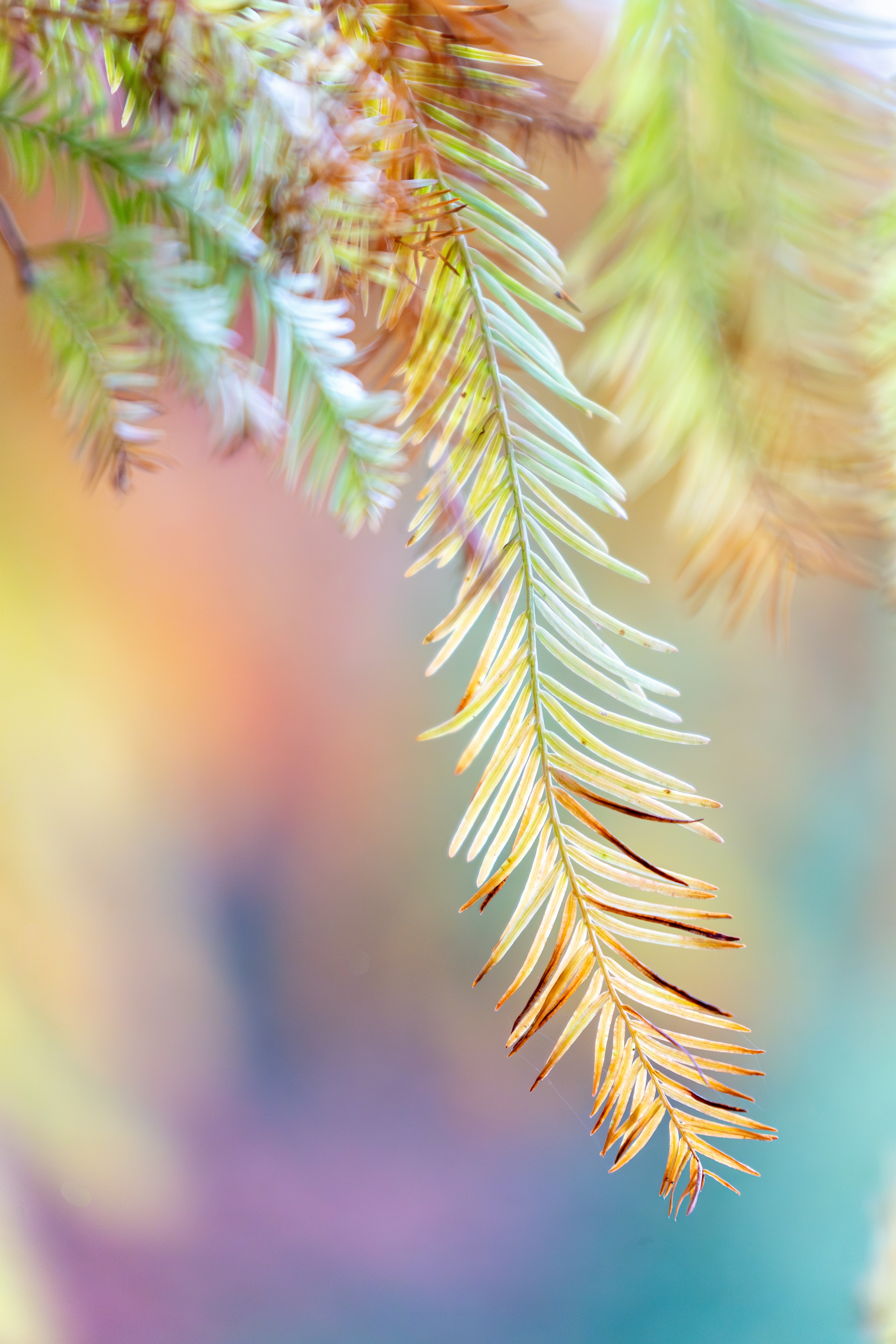 Photo by winstonchen