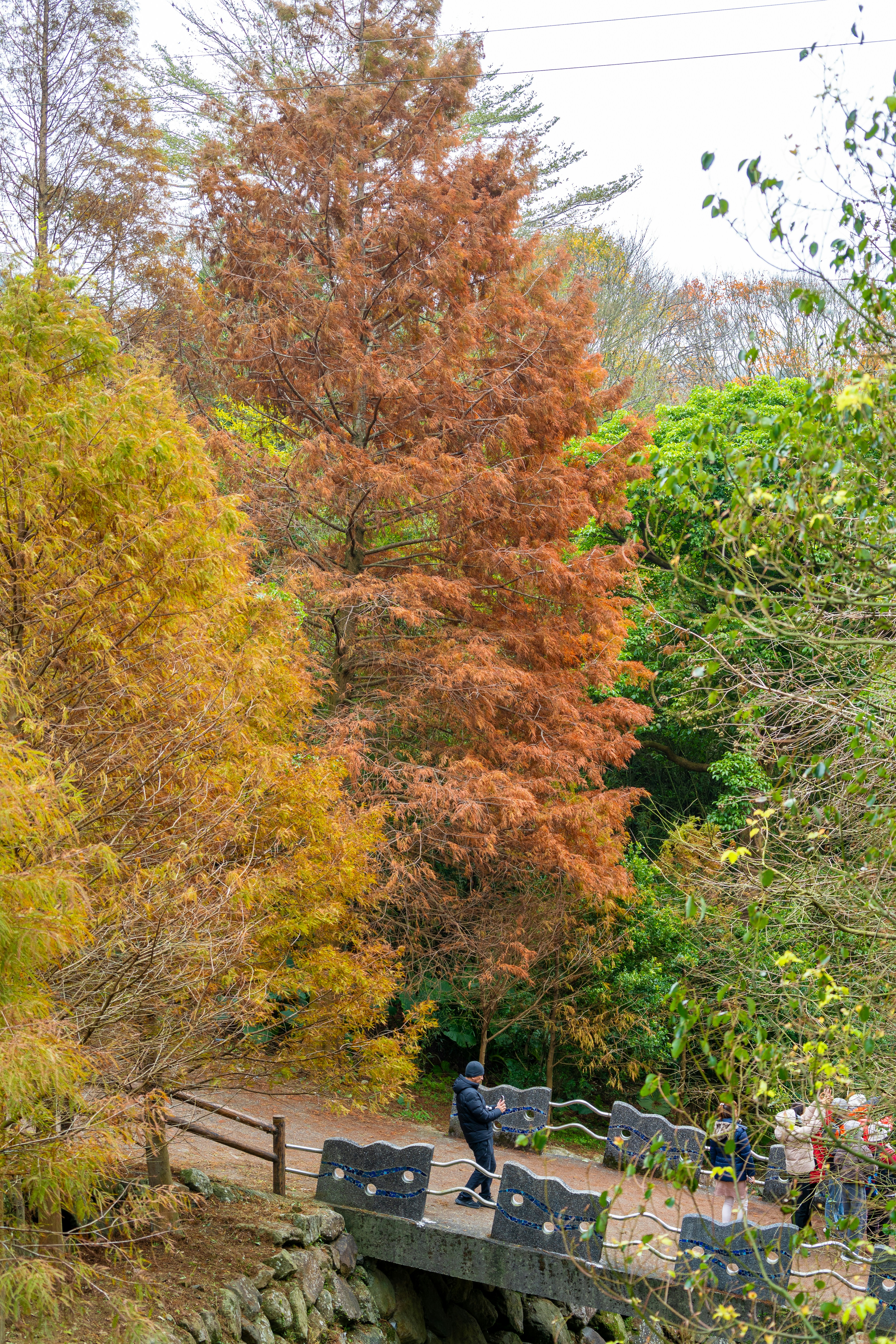 Photo by winstonchen