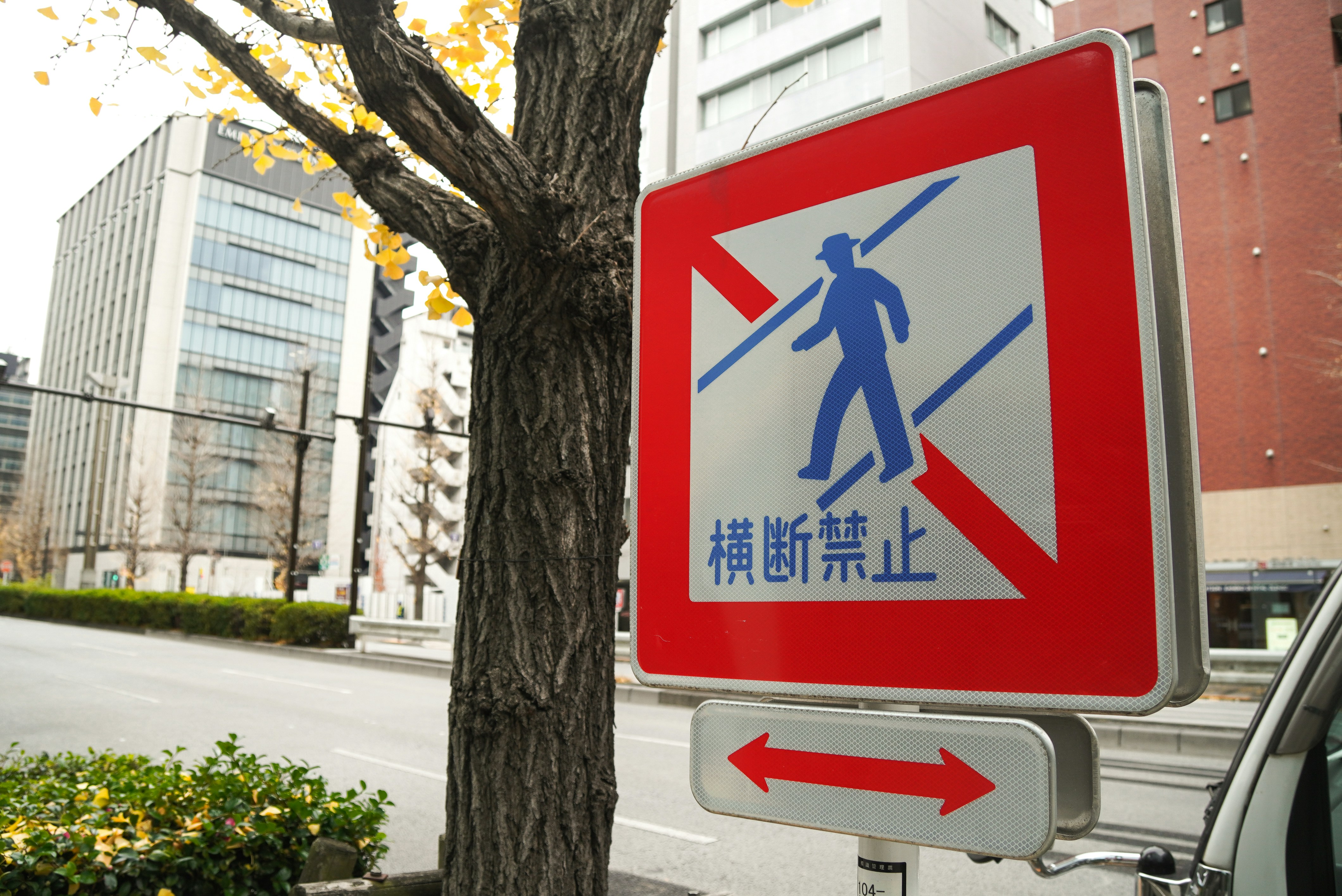 No pedestrian crossing sign with building background