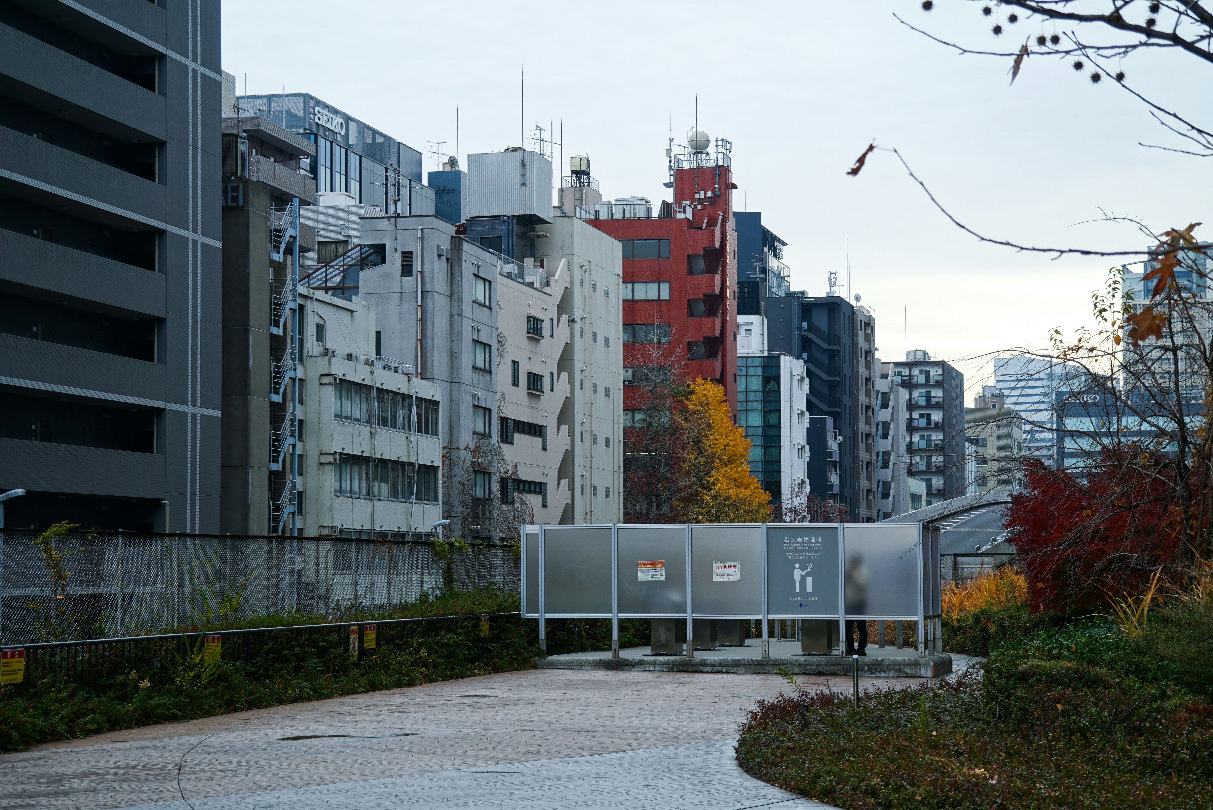 Modern buildings line a city street with autumn foliage.