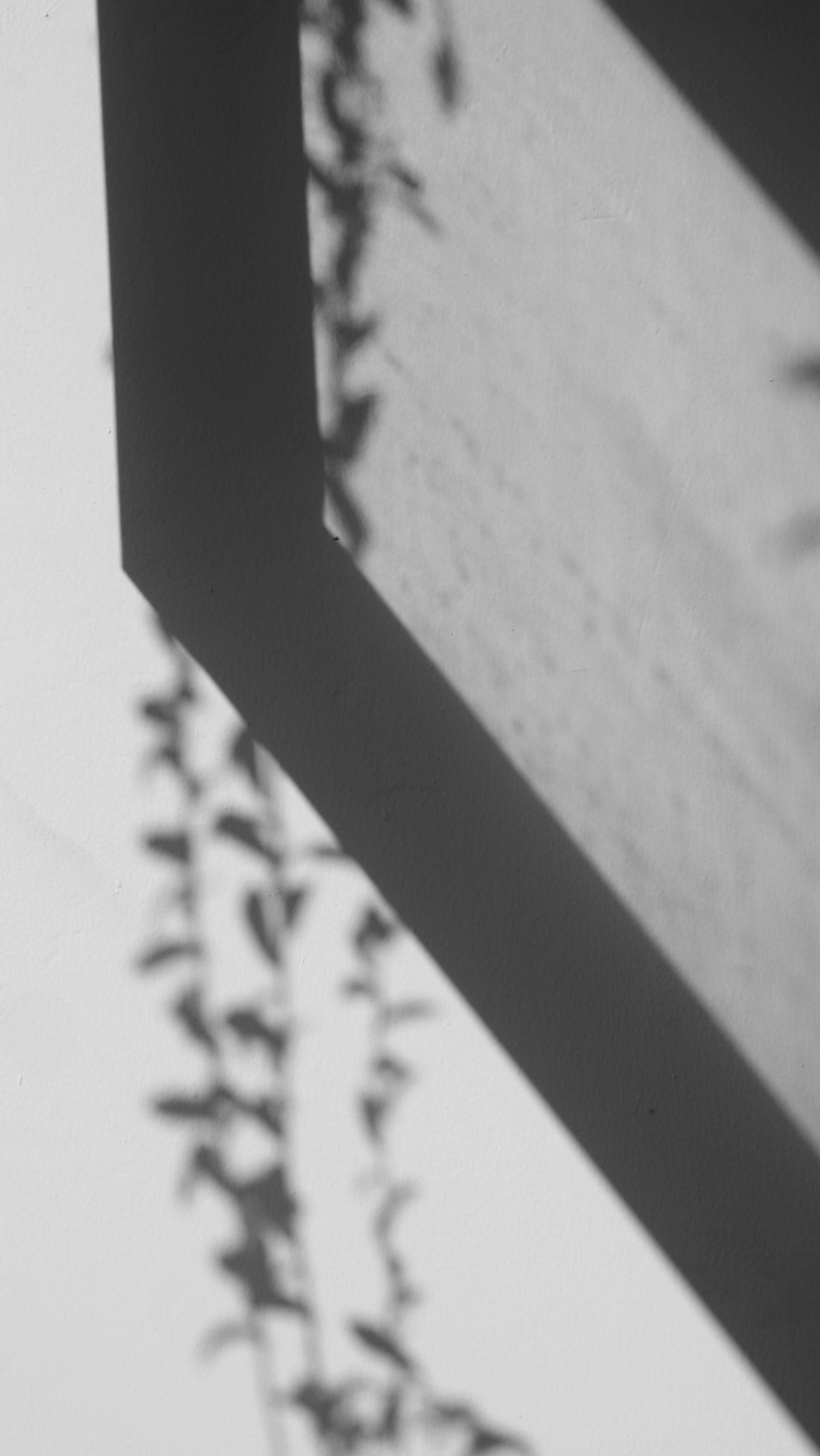 Photo by abdullishere