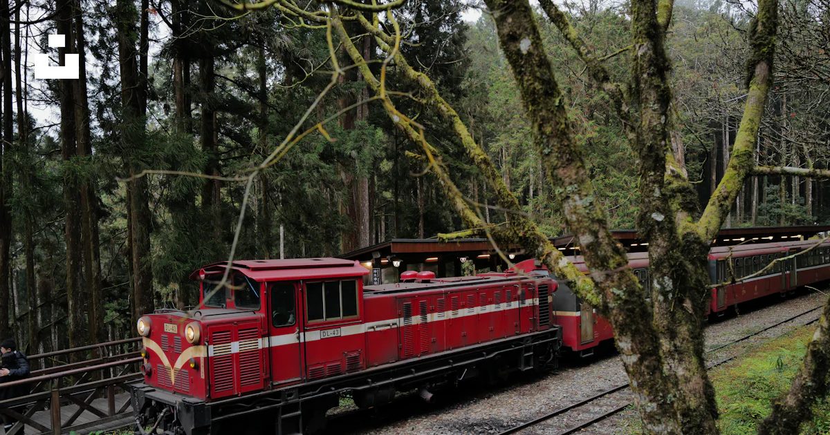 A red train travels through a lush green forest. photo – Free ...