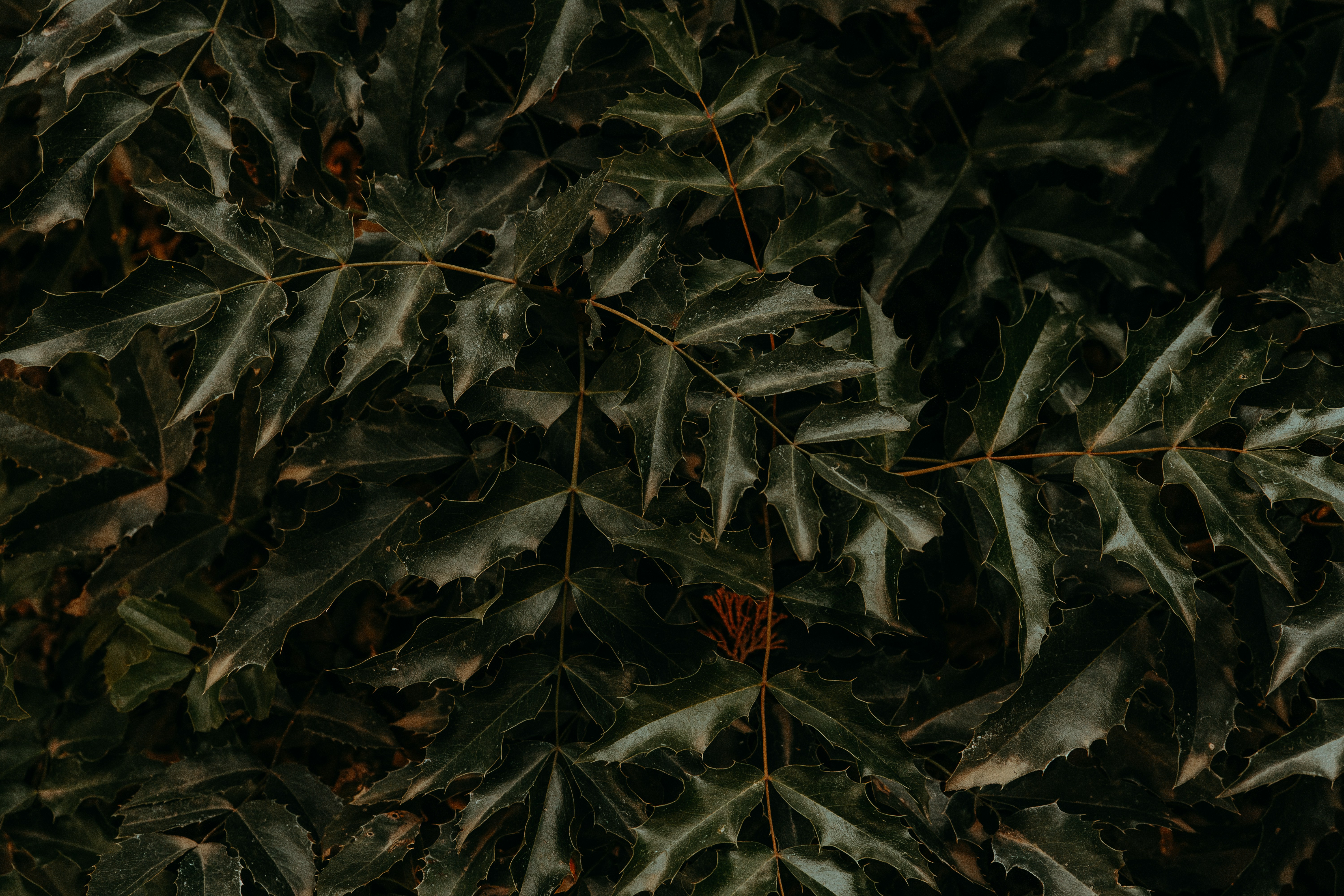 Recognizing The Course To Soberness: Expectancies For Alcohol Rehabilitation Programs