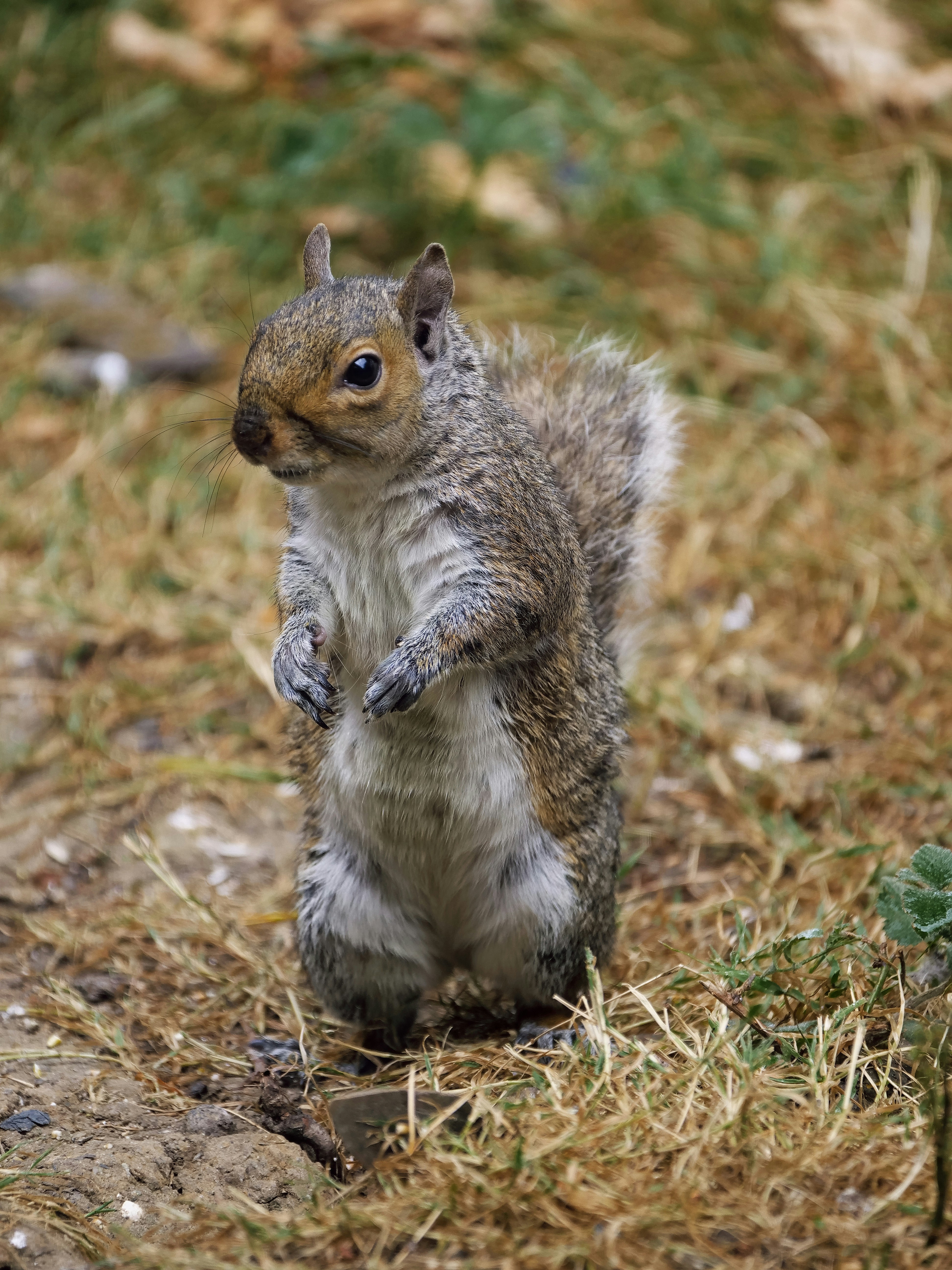 Photo by balmy_sunset