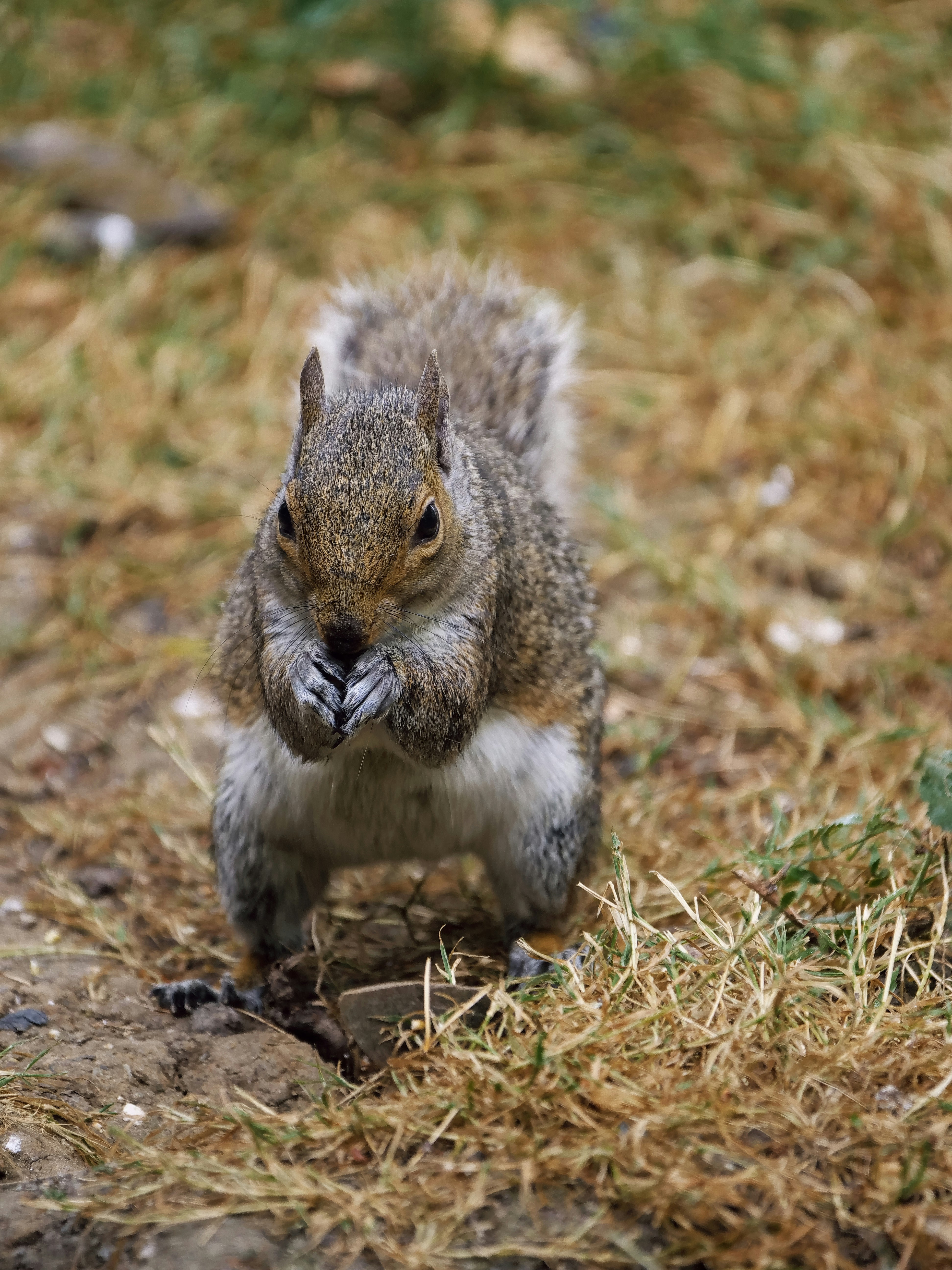 Photo by balmy_sunset