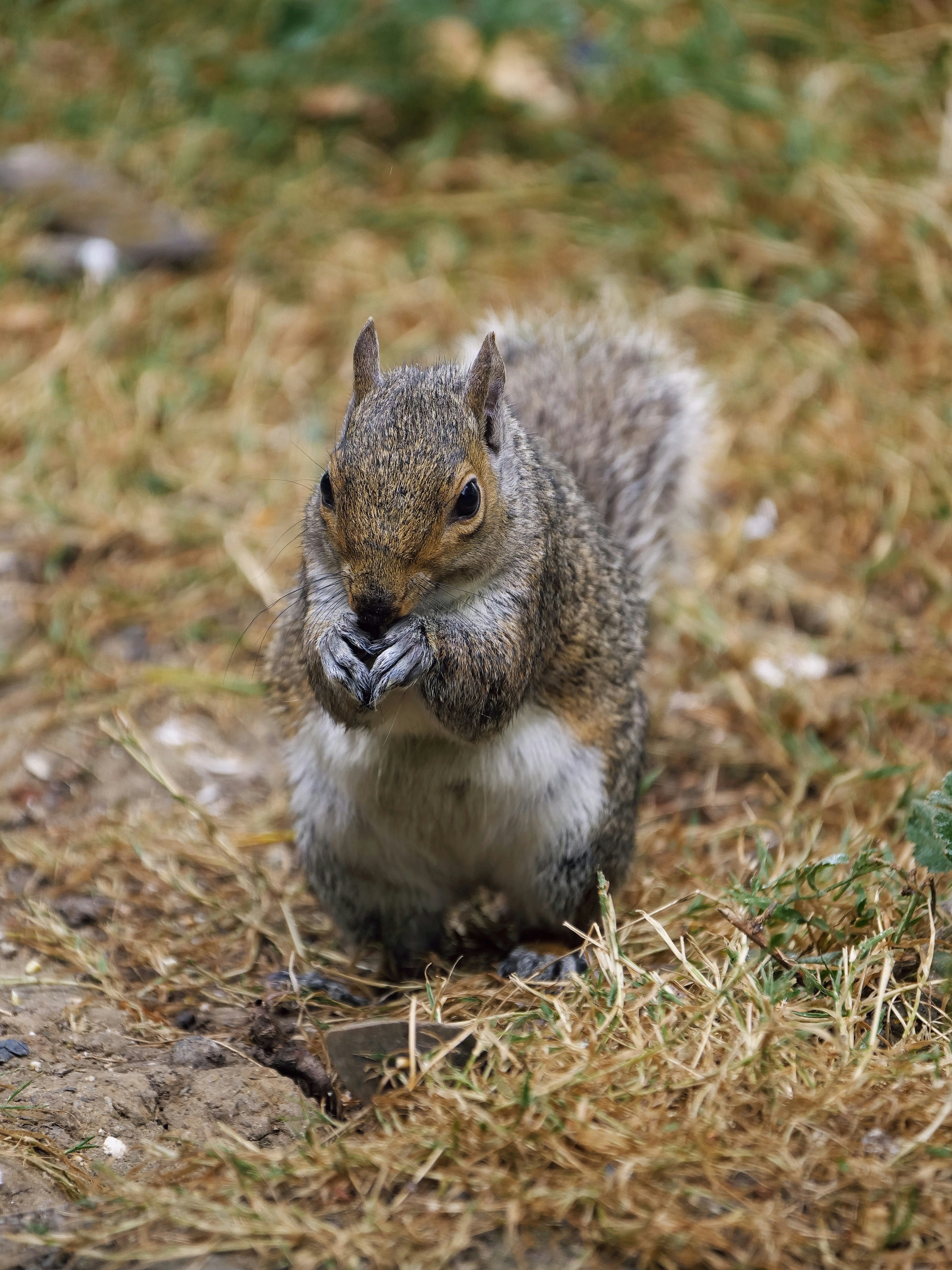 Photo by balmy_sunset