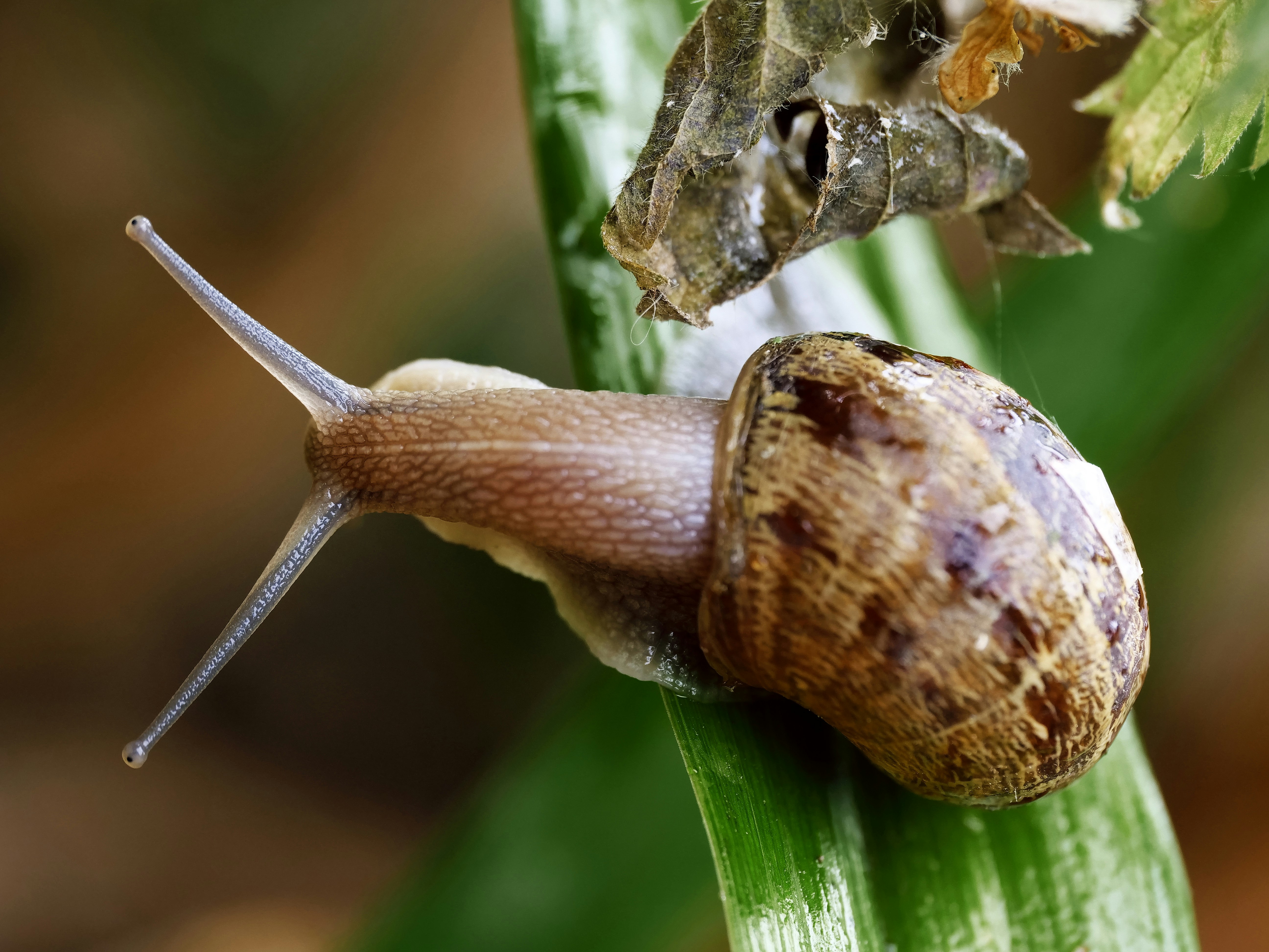 Photo by balmy_sunset