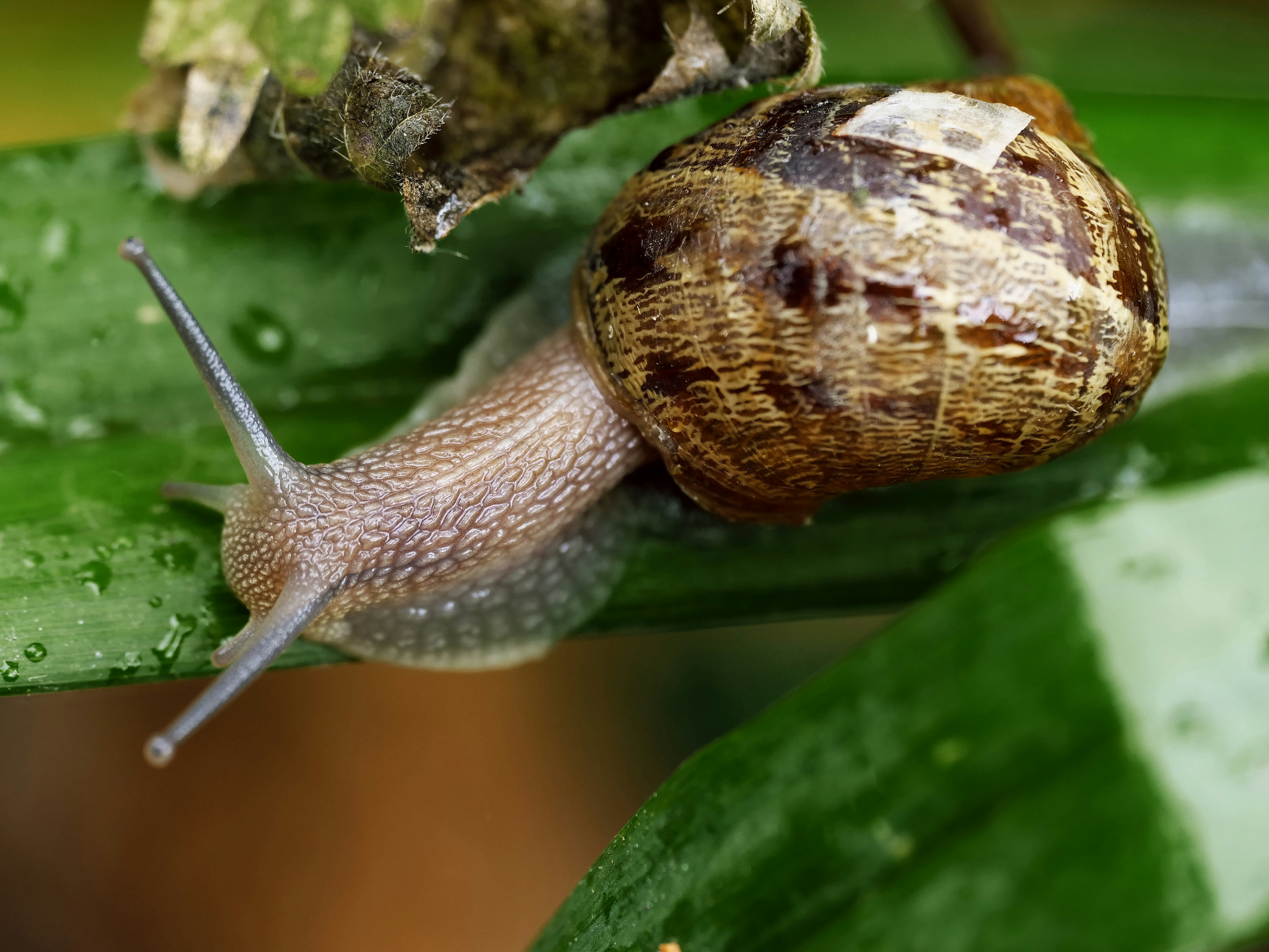 Photo by balmy_sunset