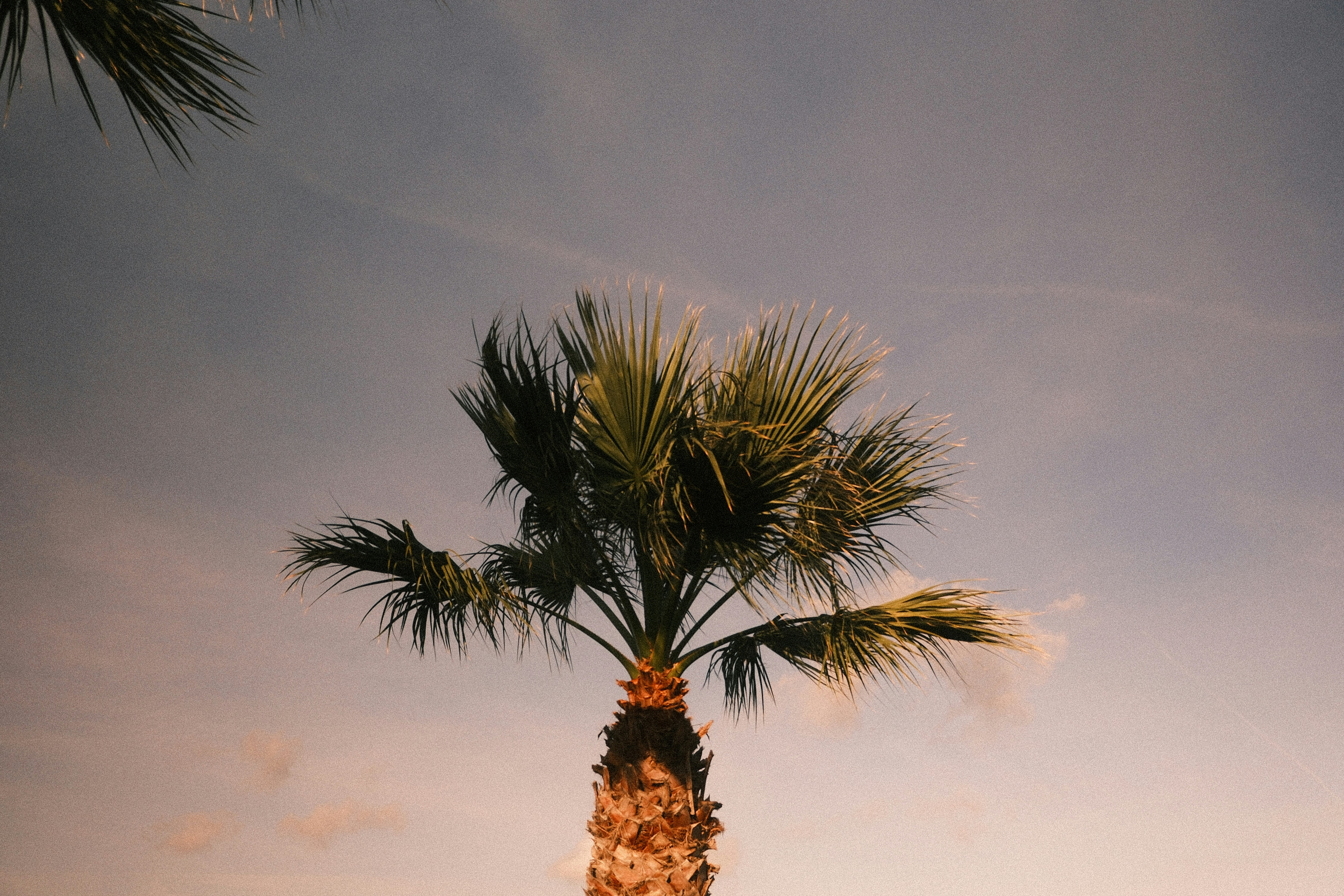 Photo by tufisalexandru