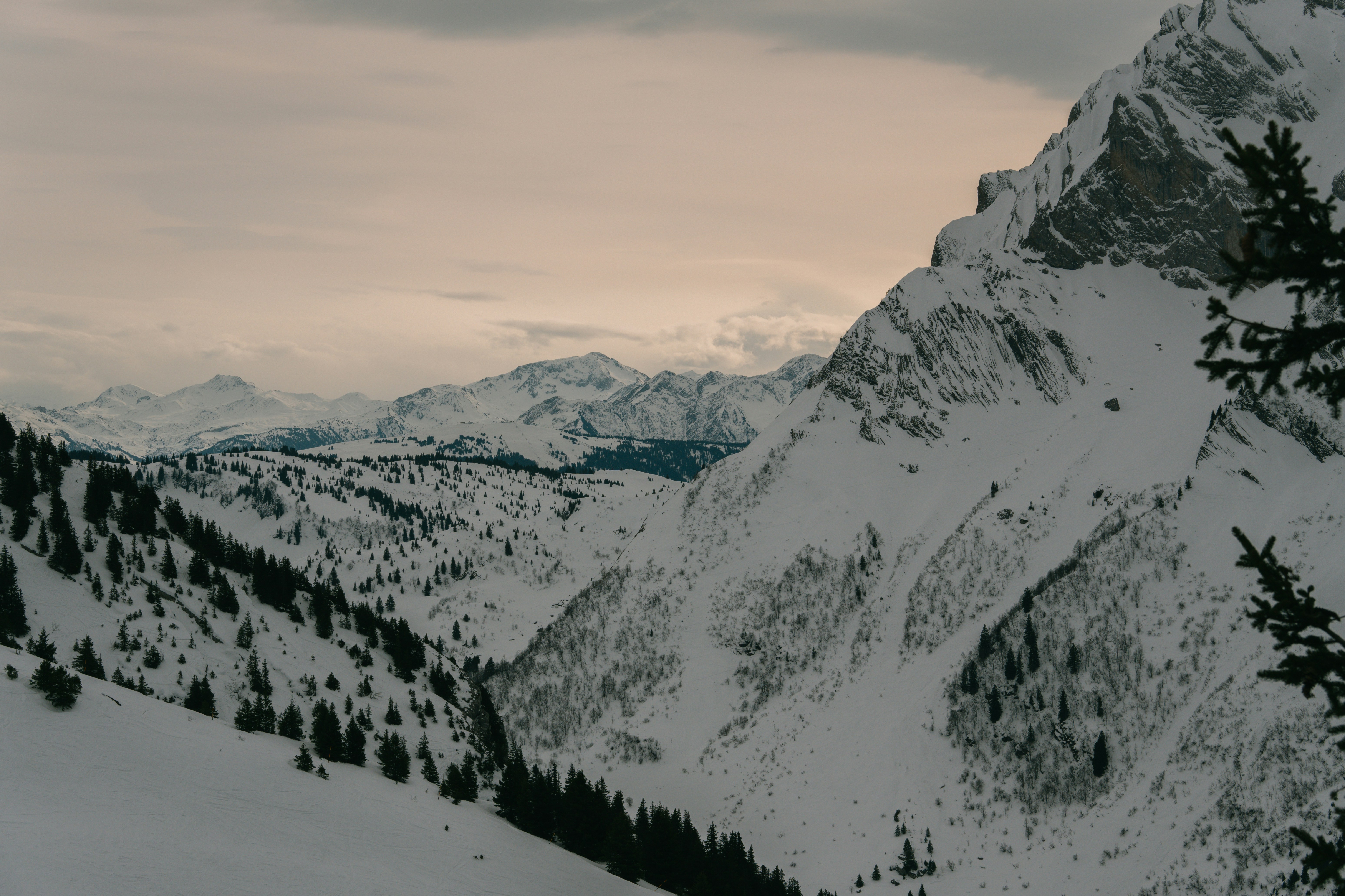 Cadeia montanhosa nevada com pinheiros sob um céu nublado
