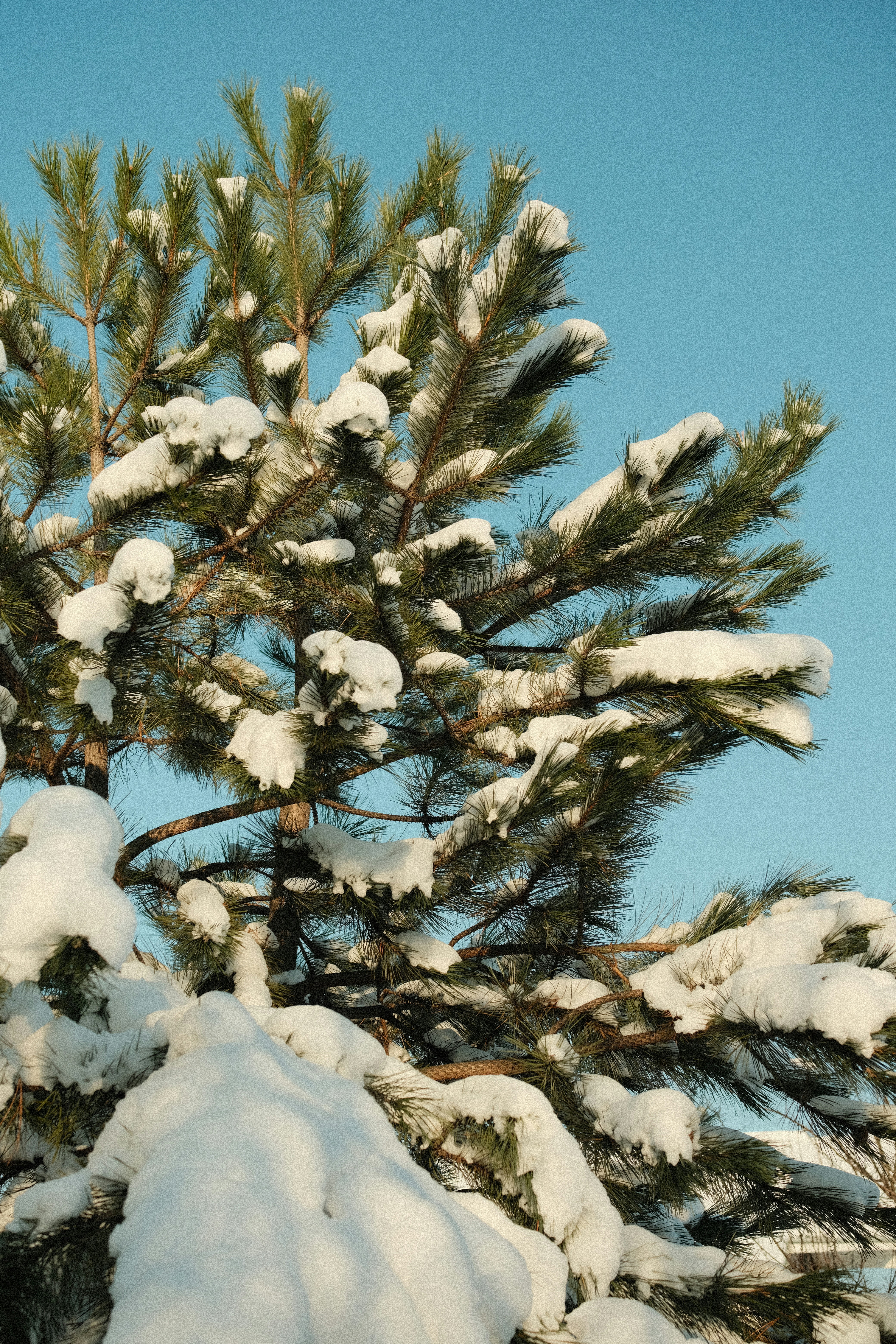 Photo by inna_yashna