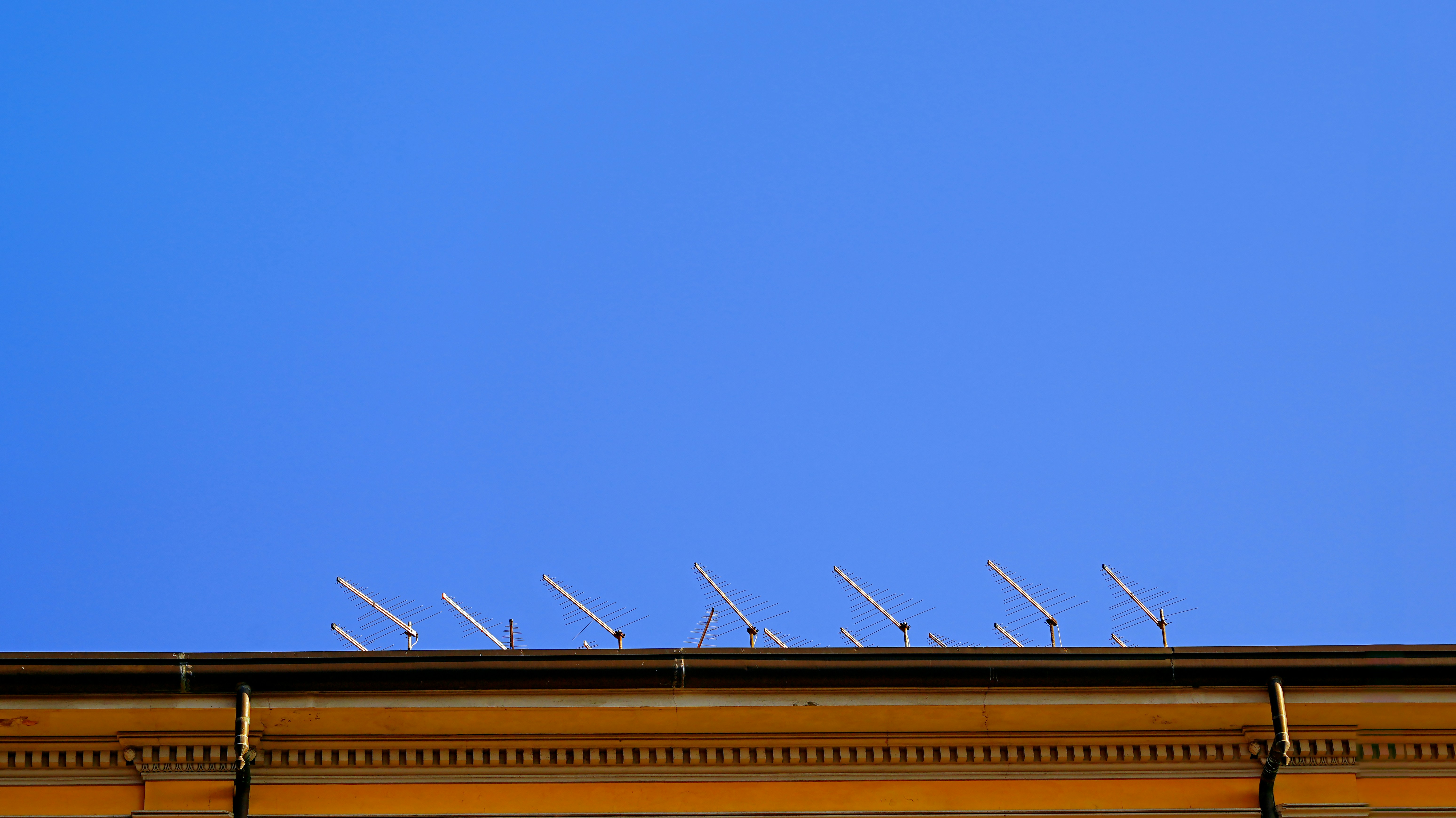 Essential Strategies for Building a Successful European SMB