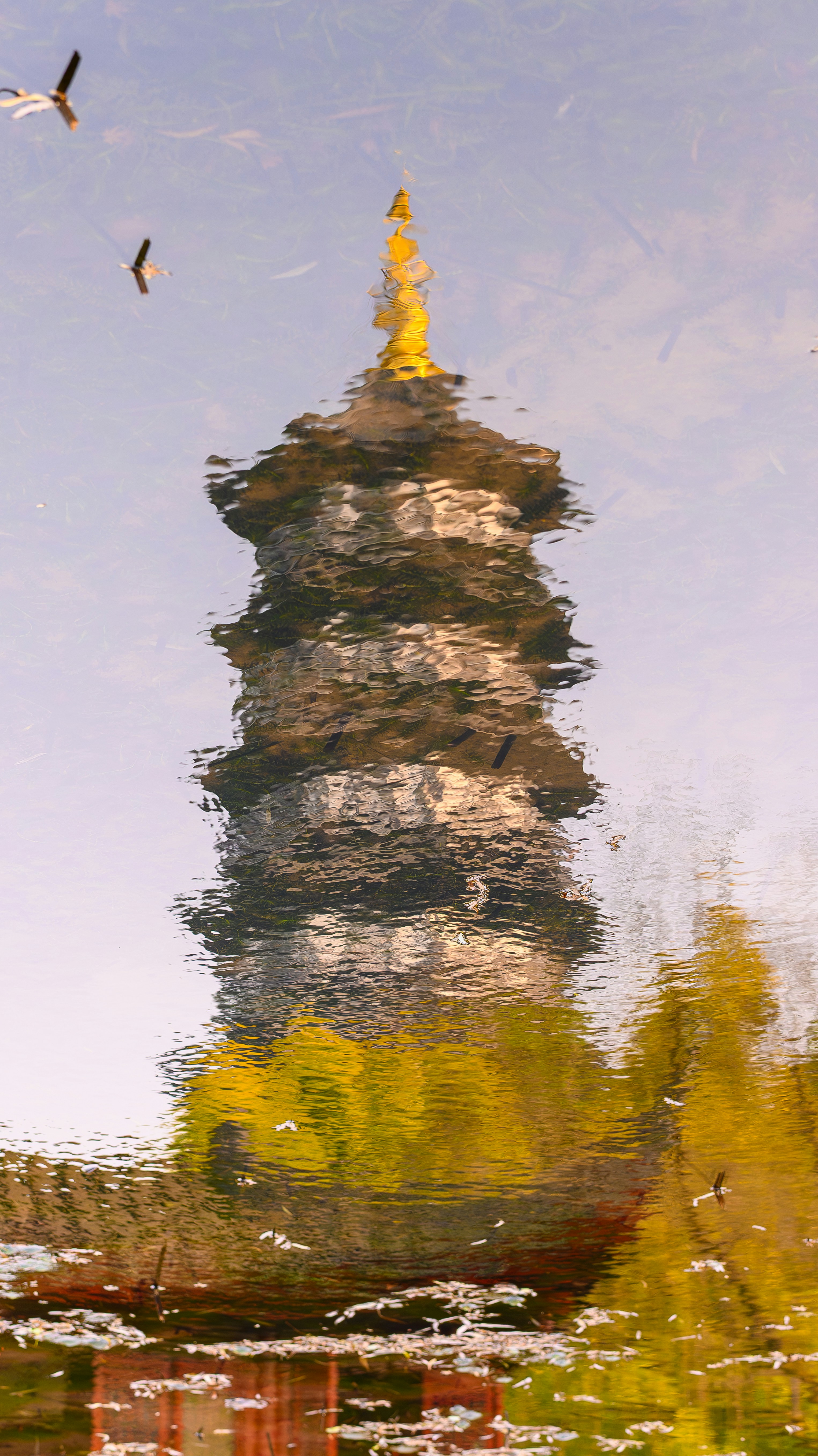 Reflection of a pagoda tower in rippling water with birds